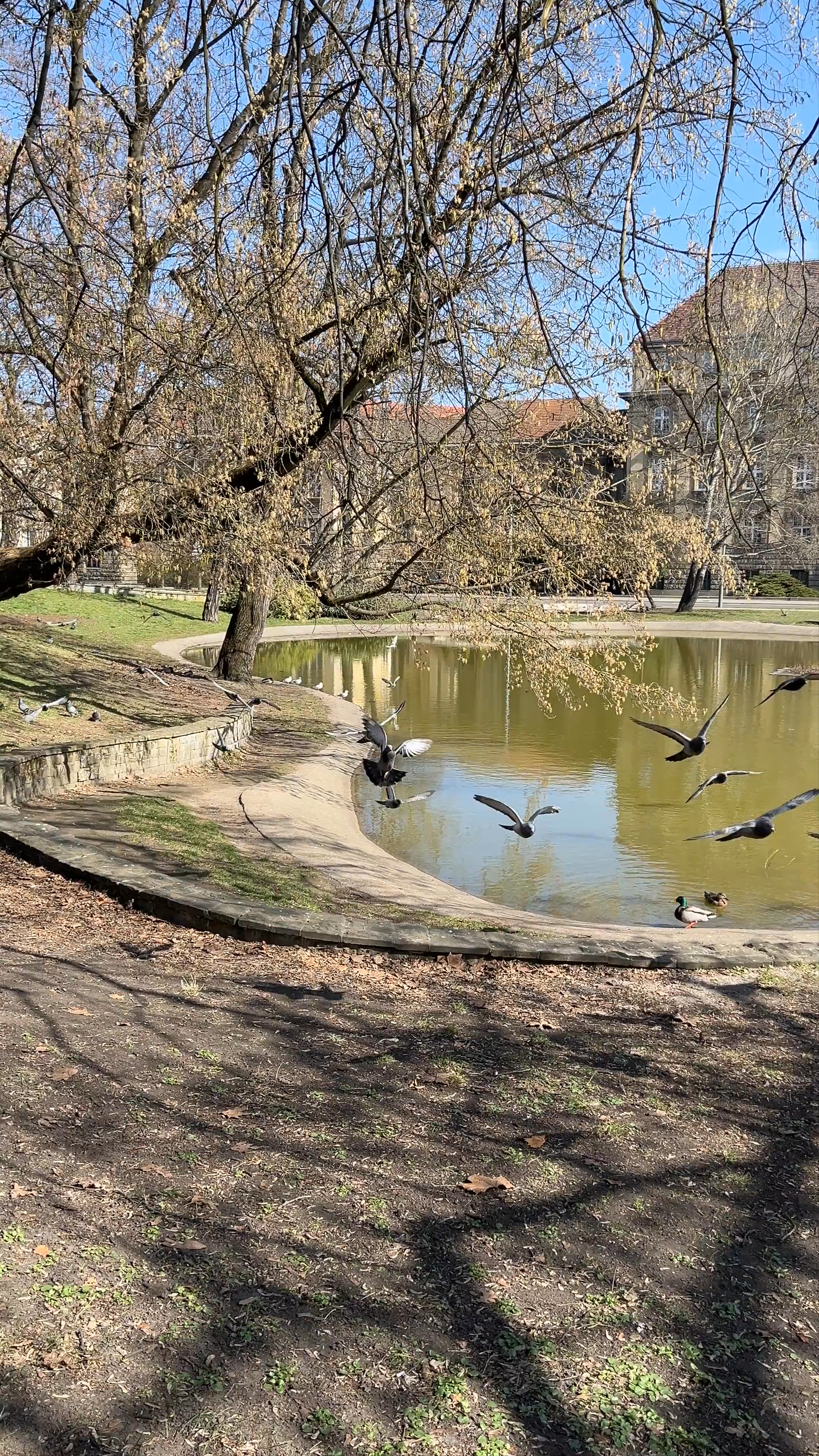 Park im. Karola Marcinkowskiego