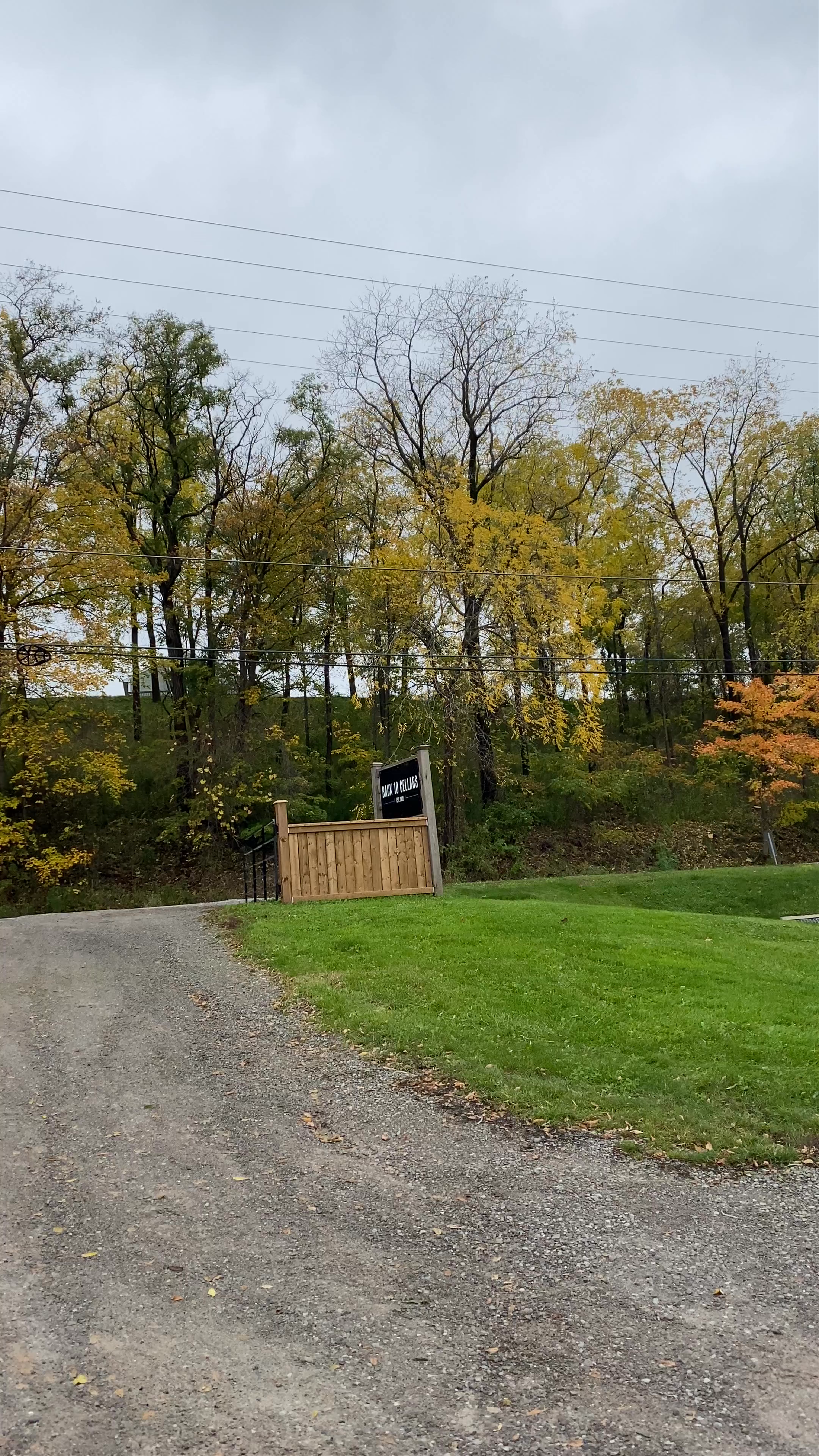 Back 10 Cellars: Serene Wine Country Escape in Lincoln, Ontario