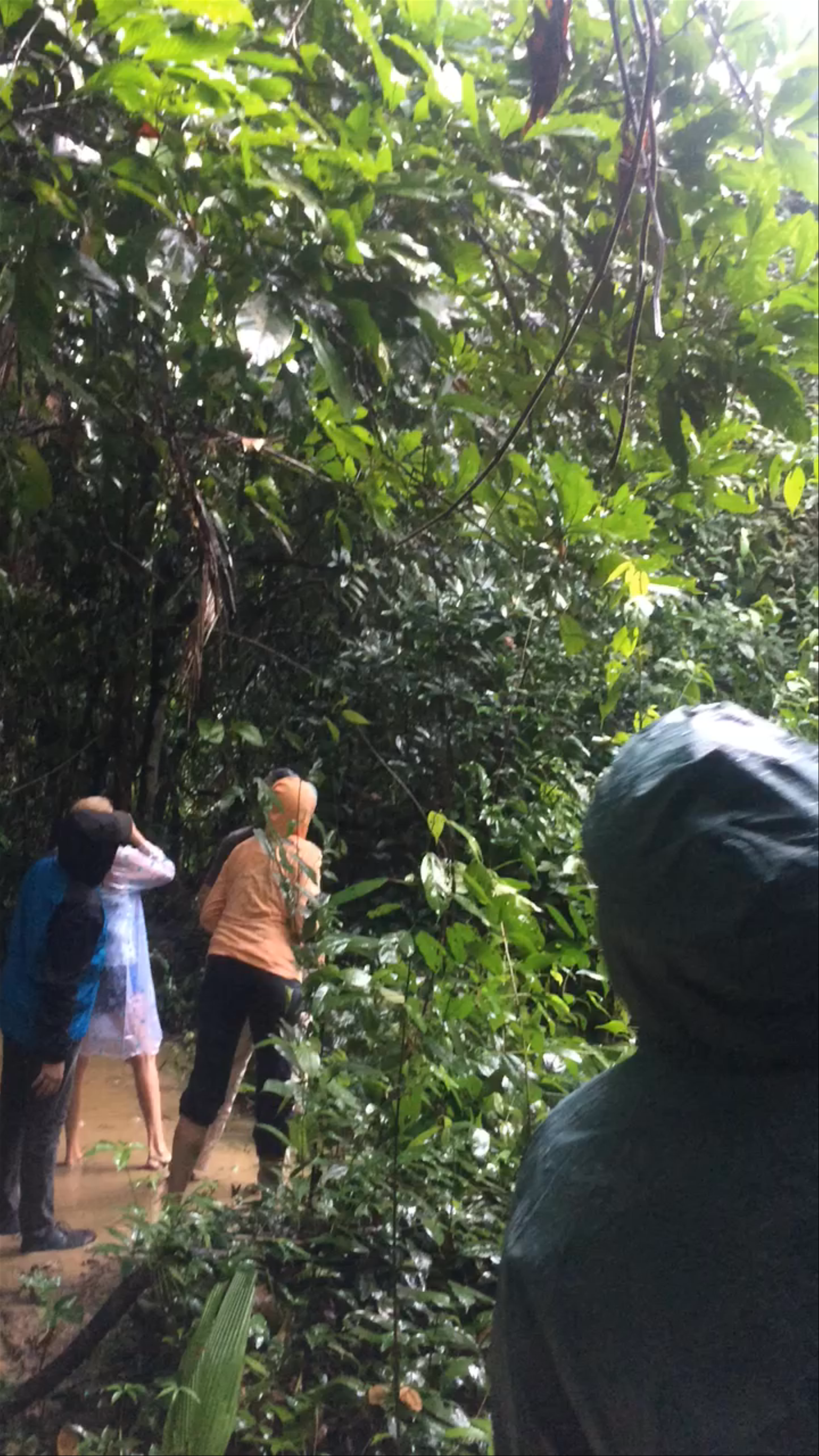 Ocean Motion Tours 🇧🇿