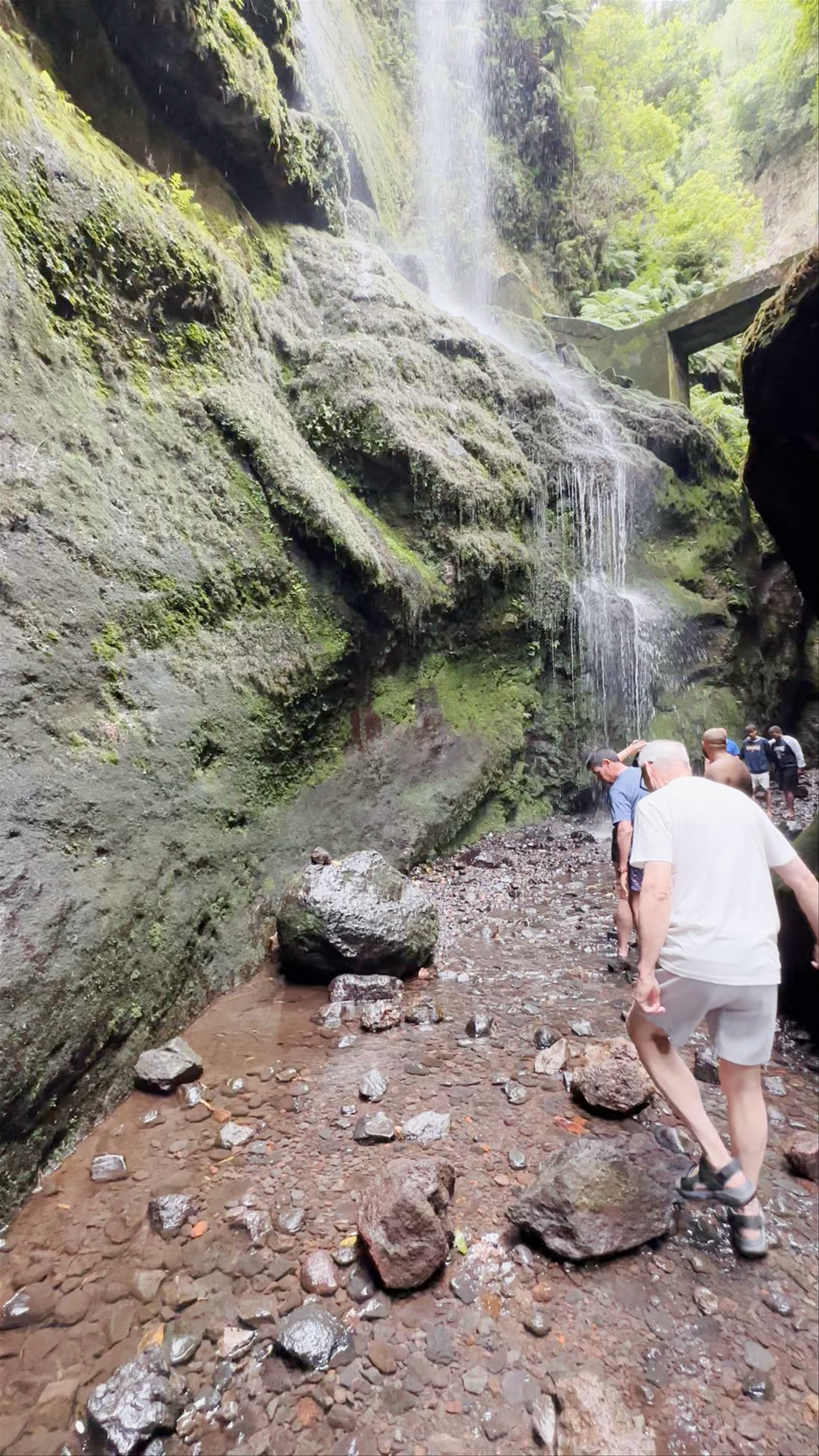 Cascada De Los Tilos