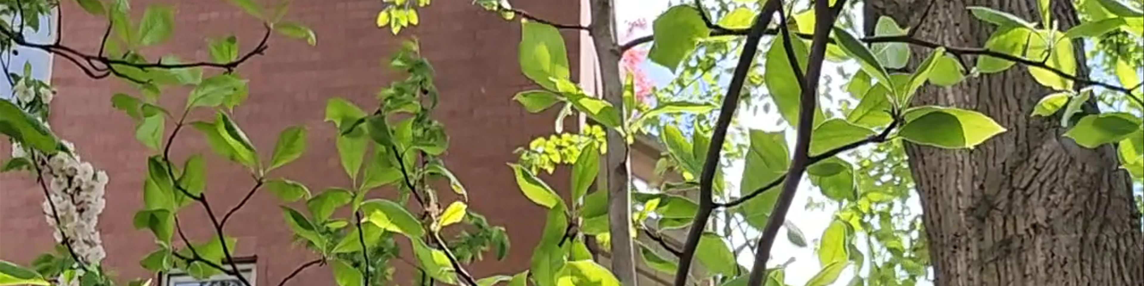 West Side Community Garden