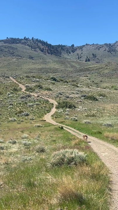 Tom Cooke Trail - Hiking Near Me - Reno, Nevada