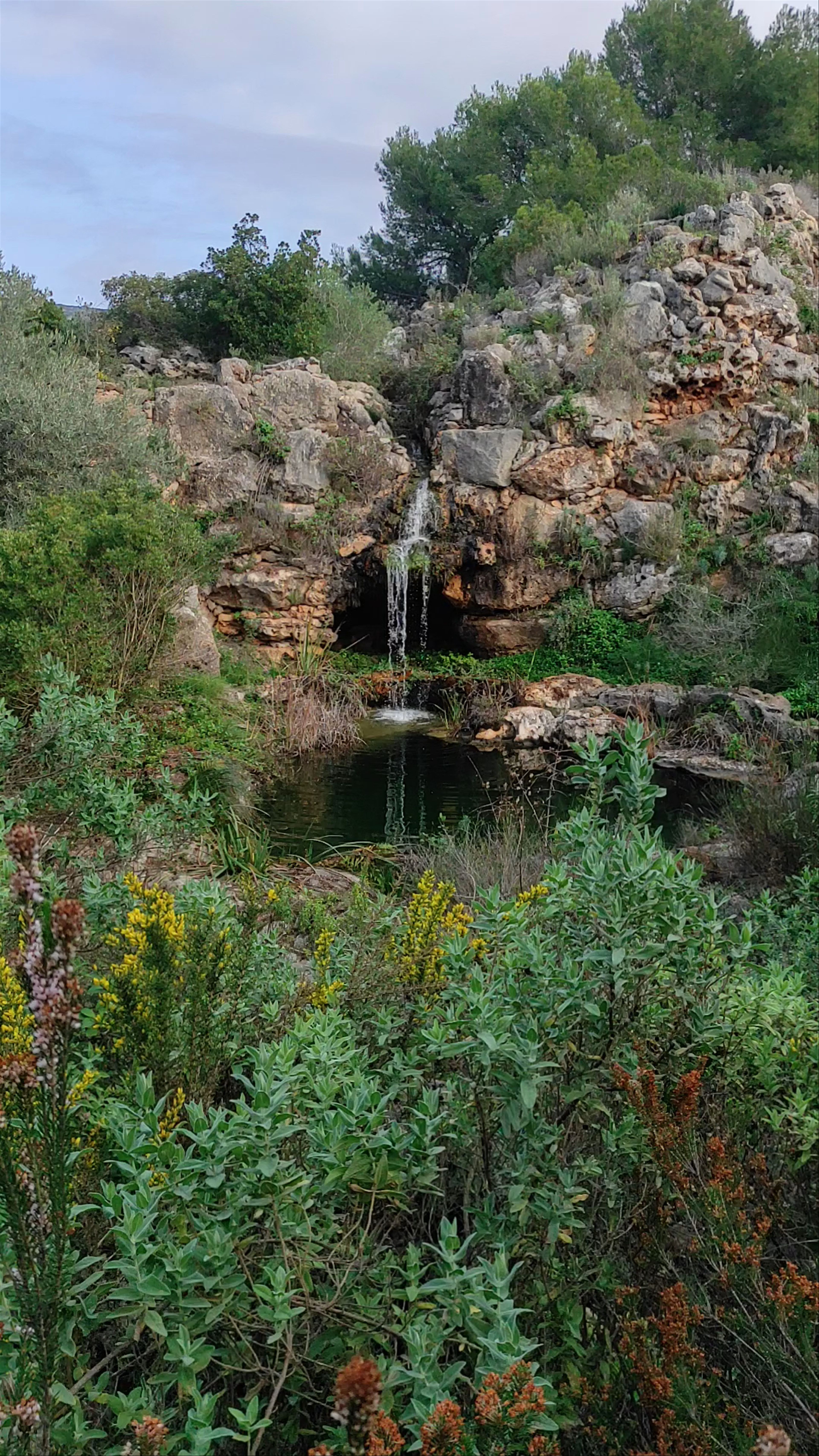 Jardín de l'Albarda: A Serene Waterfall Escape in Pedreguer, Spain