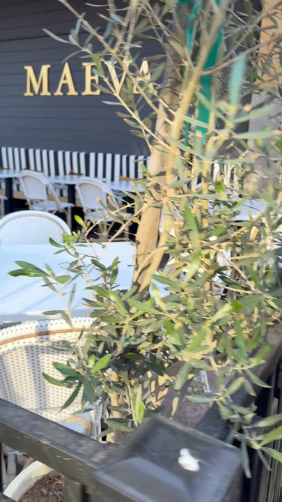 Maeva - Cafes Near Me - Gilbert, Arizona