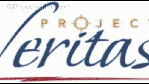 Video Thumbnail Loop