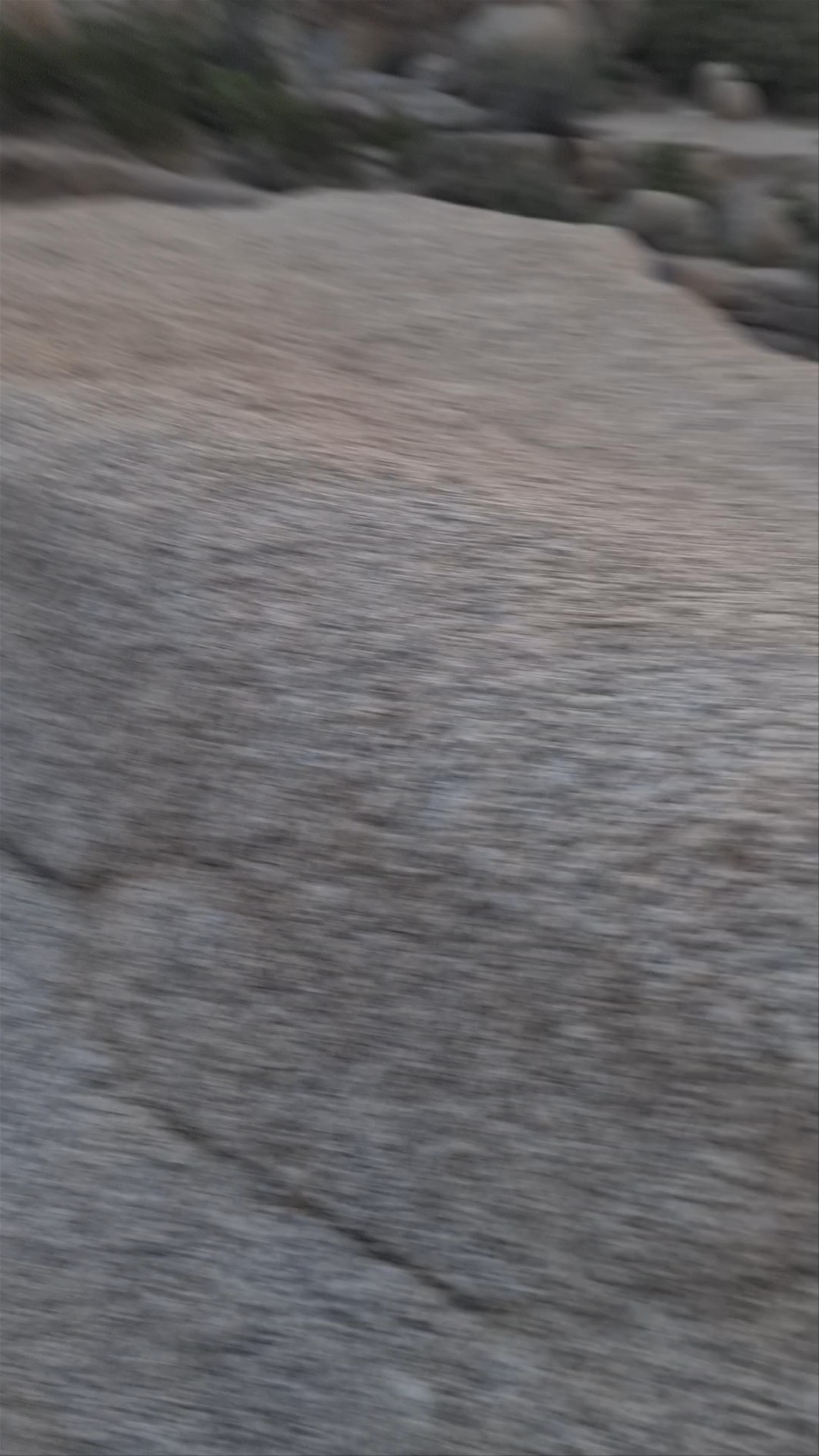 Jumbo Rocks Campground