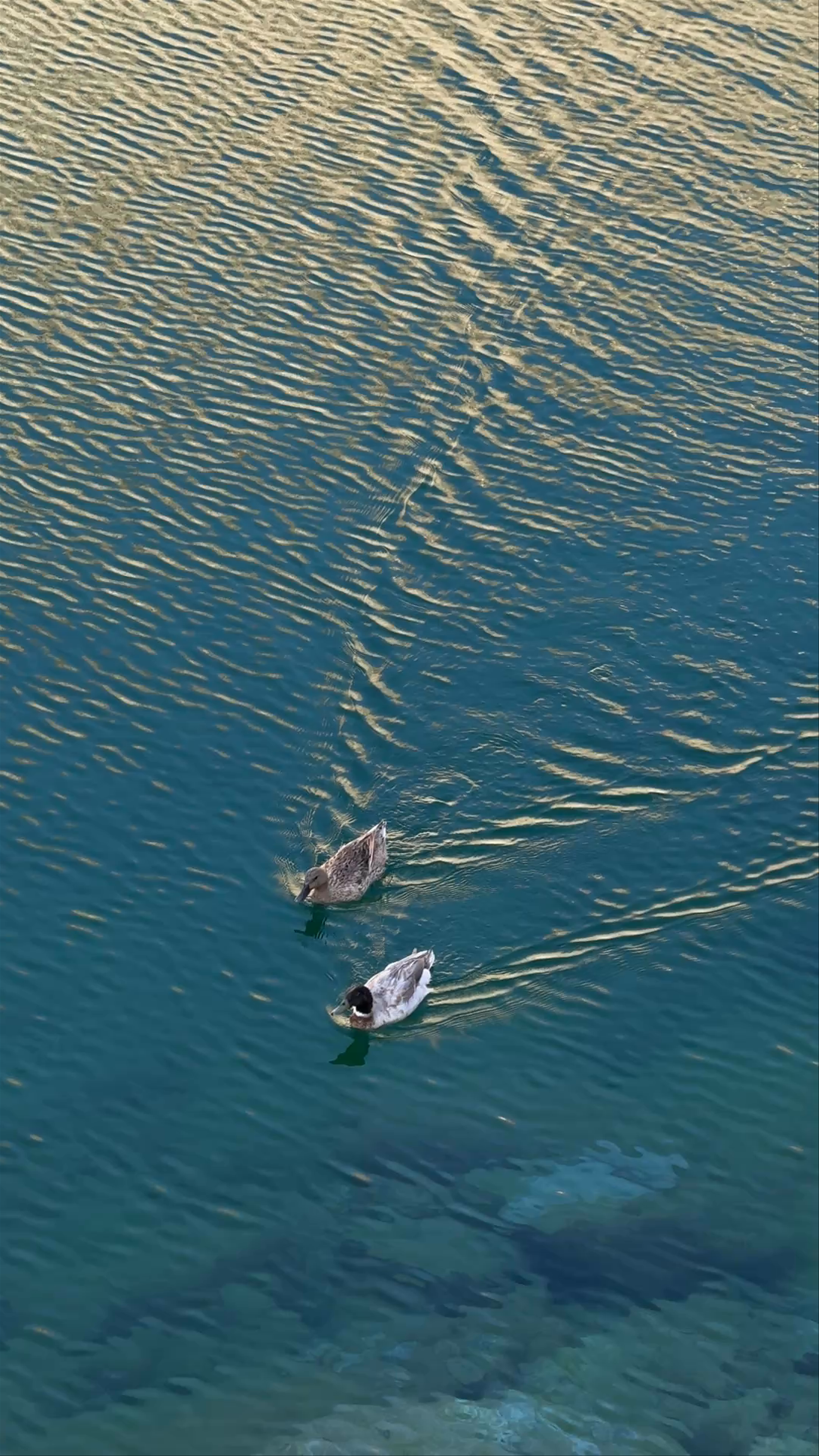 Icelandic Lake Masafi - Fujairah - United Arab Emirates