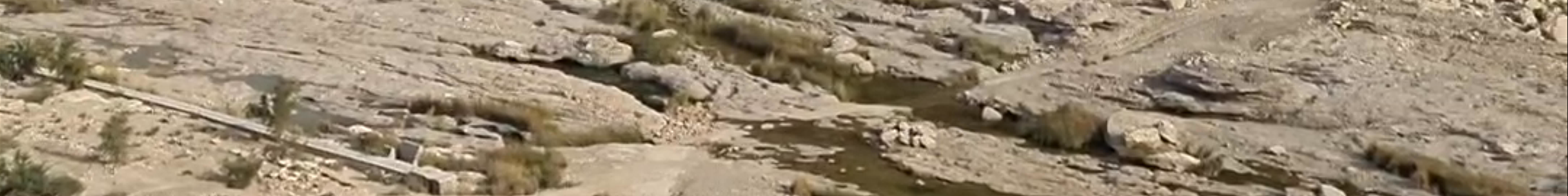 Tours & experiences in Oman