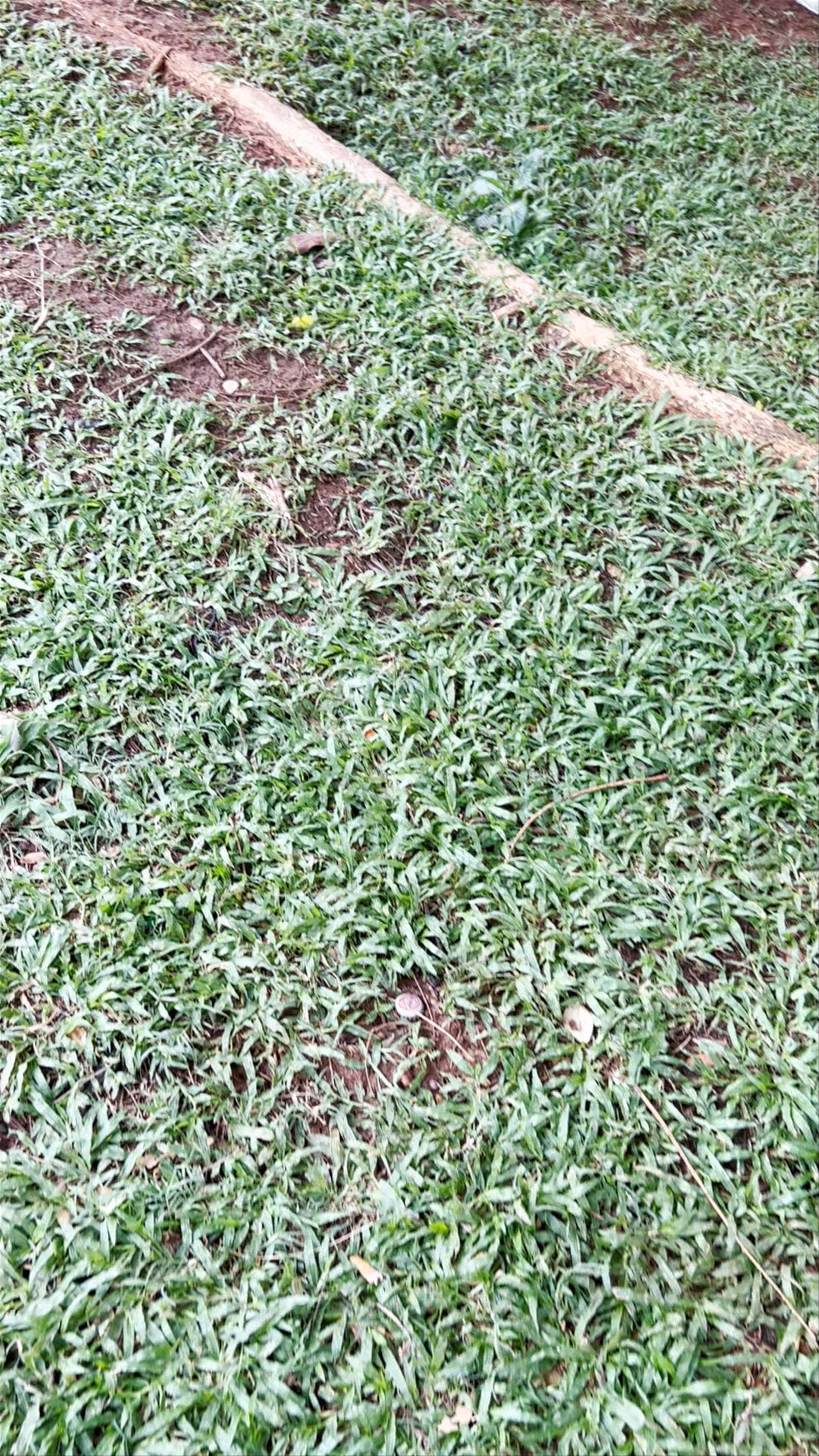 Kalinaw sa Kalawakan