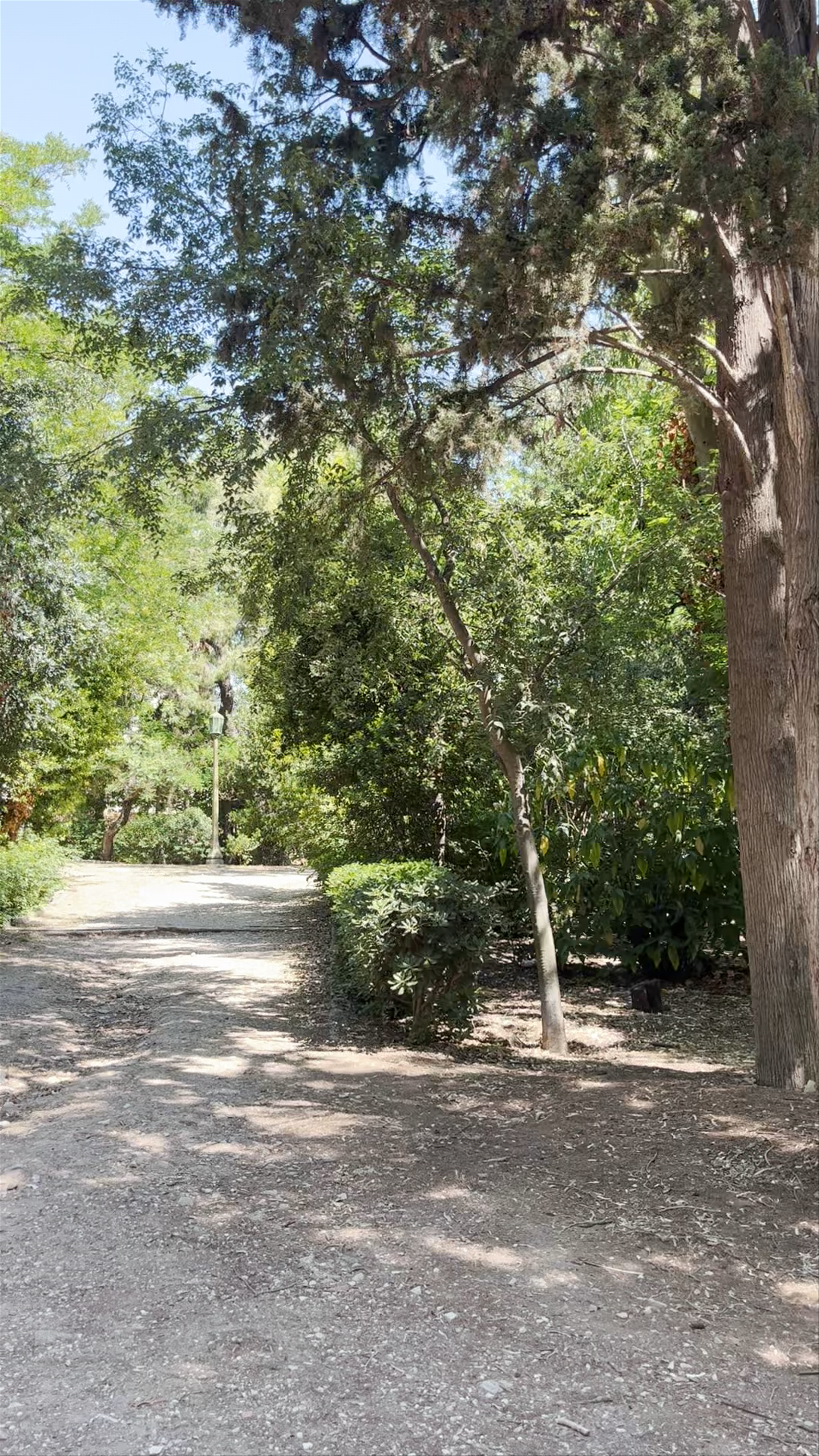 Zappeion Garden: Serene Green Escape in Central Athens