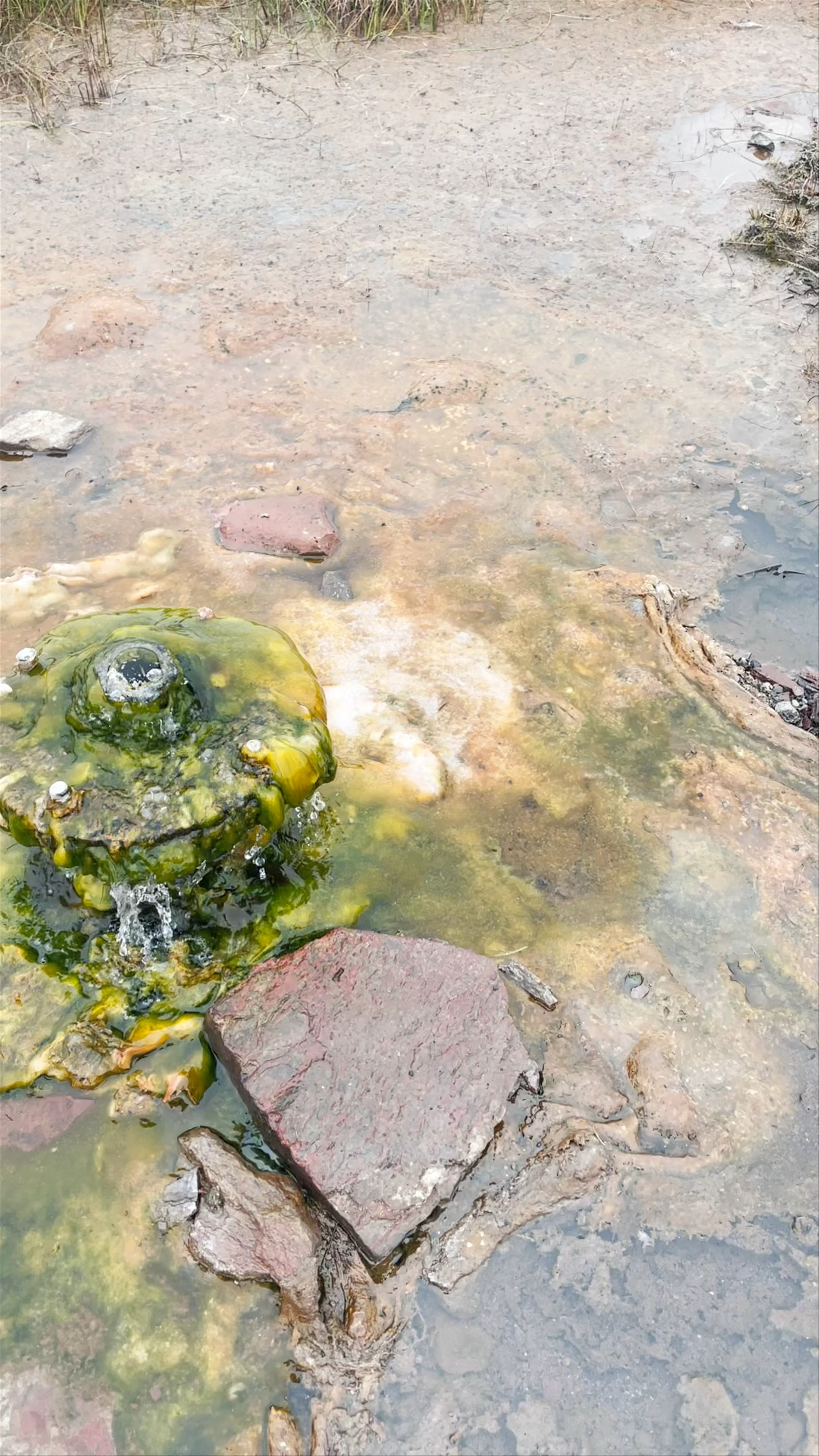 Djúpavogskörin Natural Geothermal Pool, Þjóðvegur, Iceland