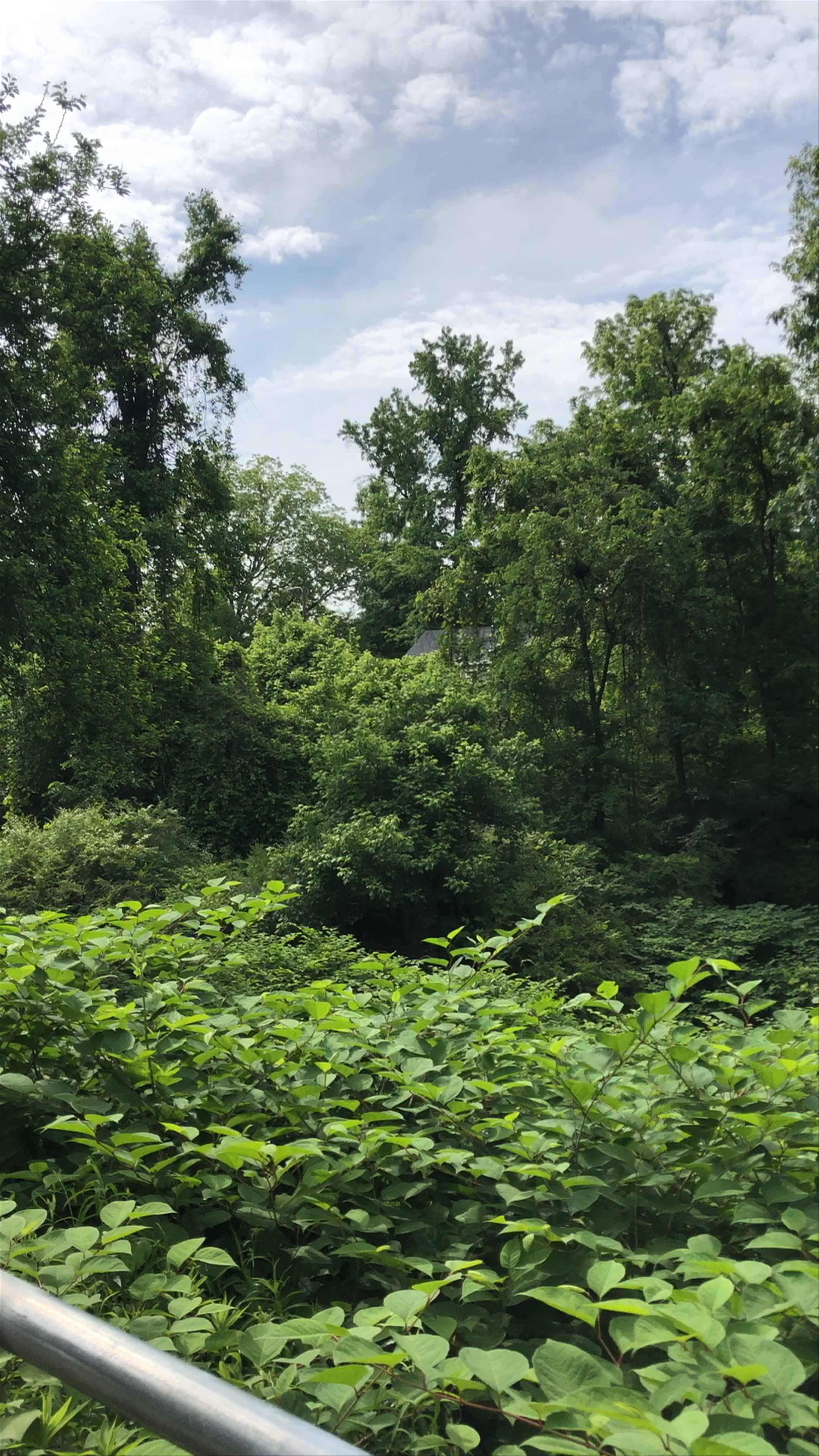 Bolin Creek Trail