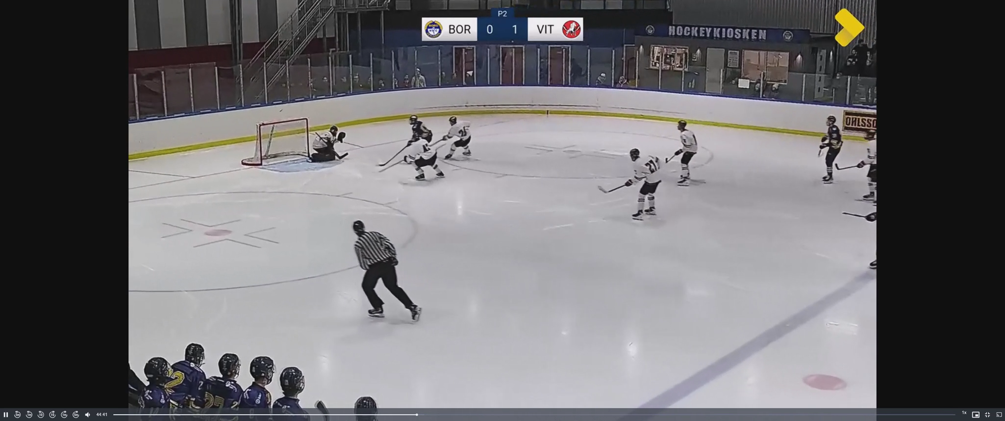 Gabriel Sjölund's Top Saves: HC Vita Hästen Highlights