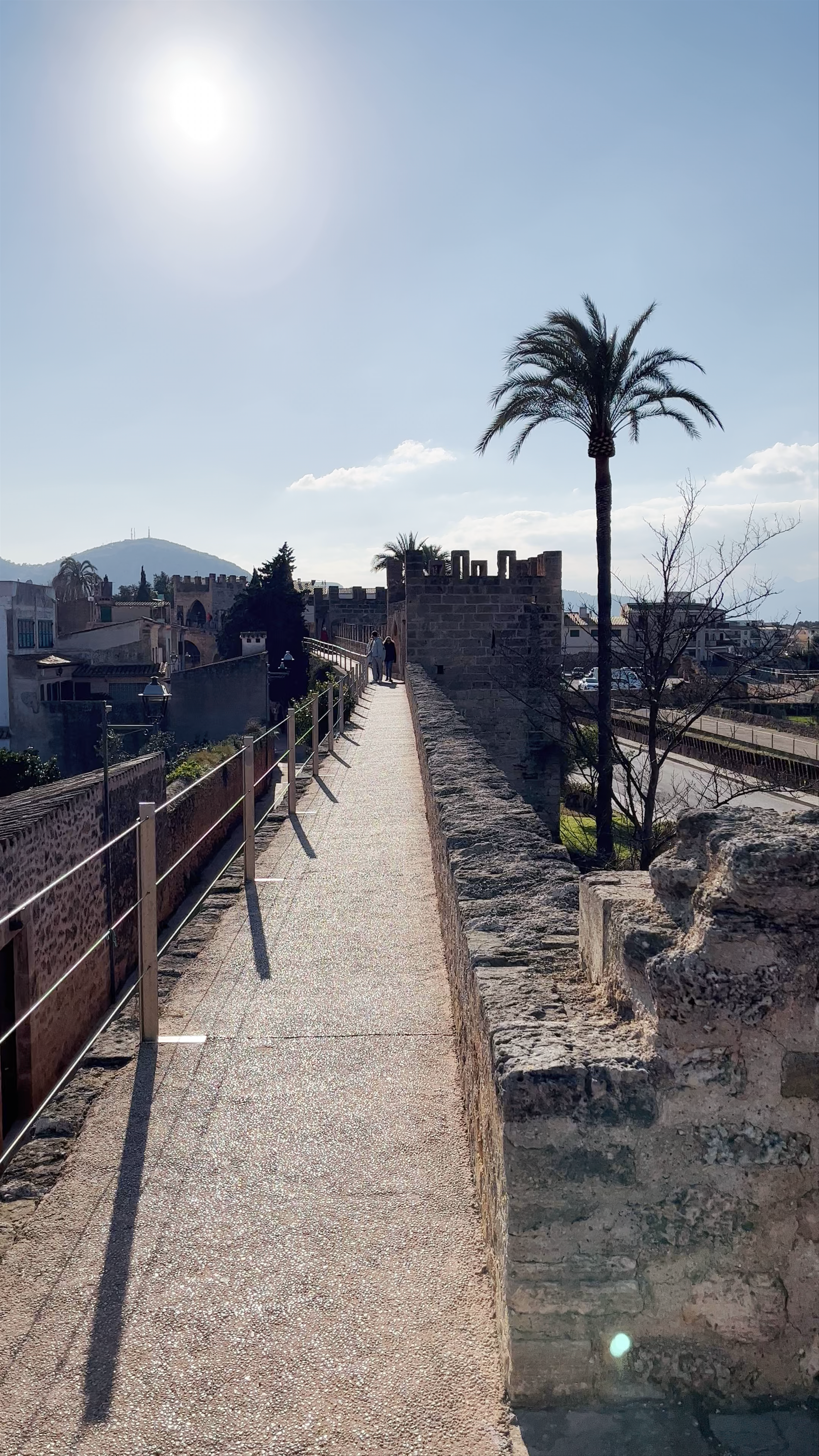 Muralla medieval d'Alcúdia