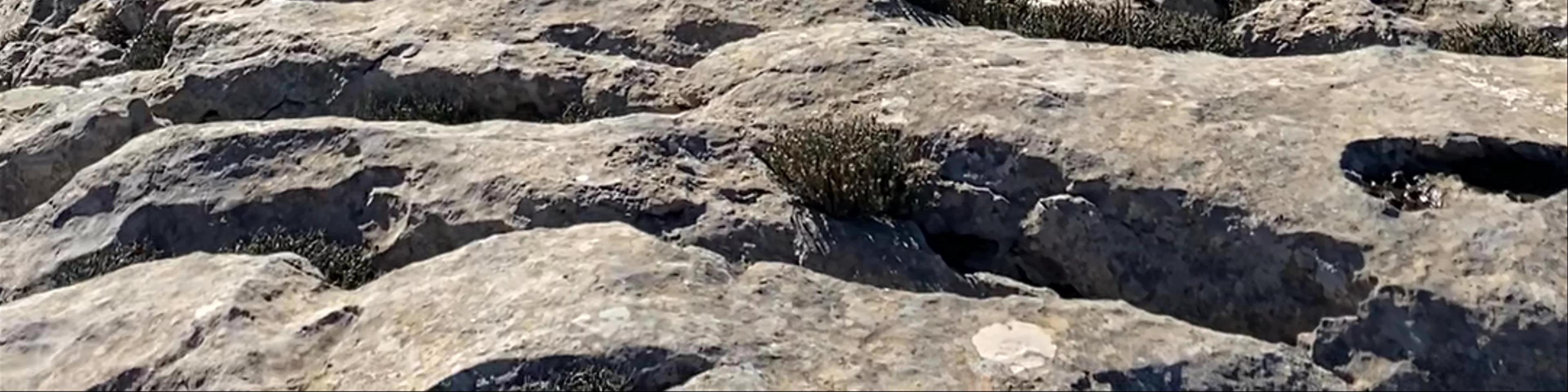 Puig de Massanella