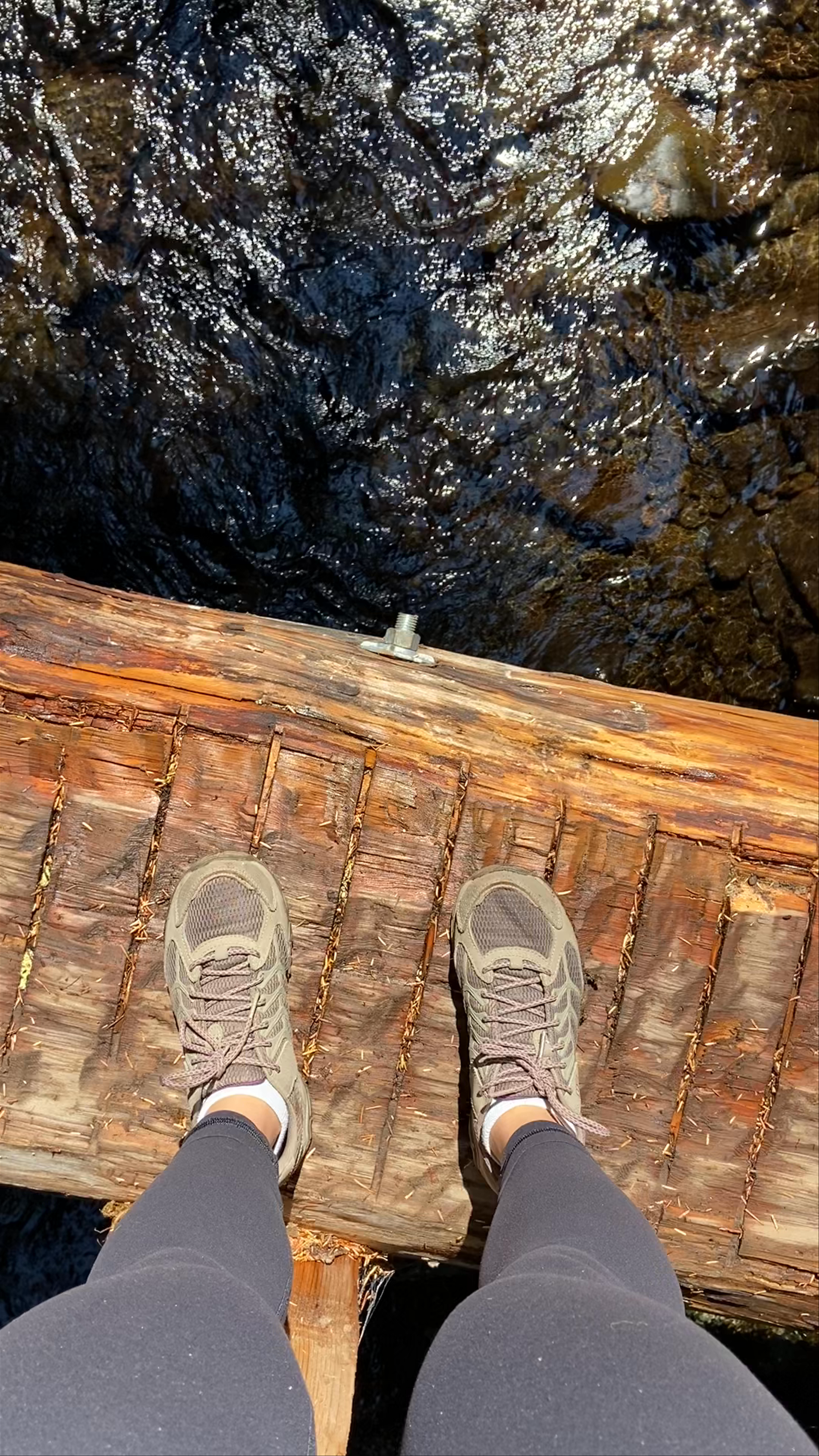 Lover's Lane Trail Hike in Olympic National Park
