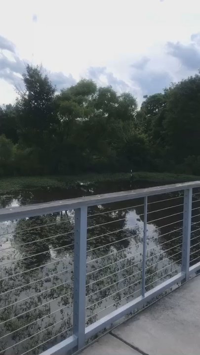 Marsh Park - Video of Marsh area - Parks Near Me - Pineville, North Carolina