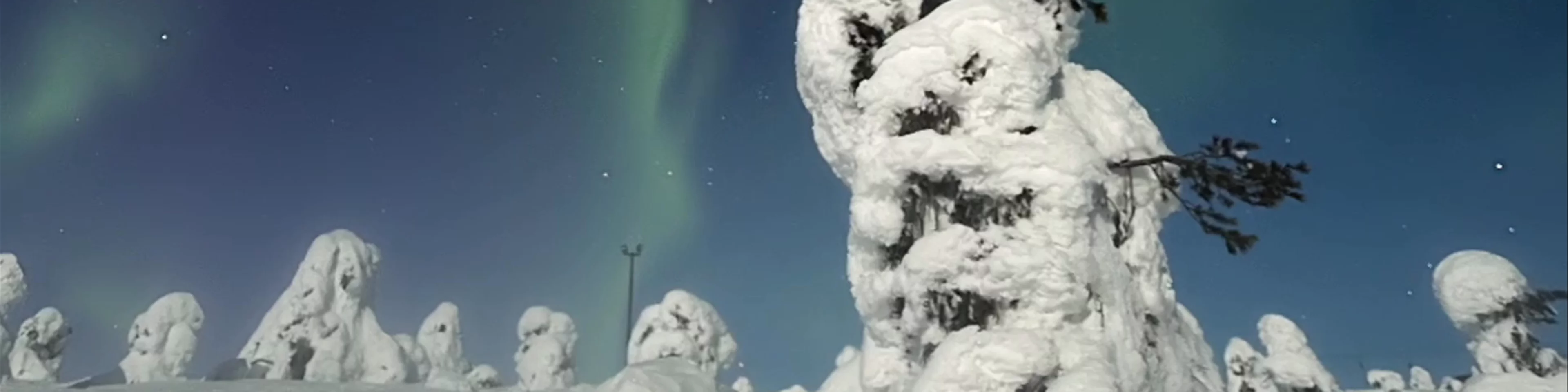 Tunturi- ja näköalaravintola TUIKKU