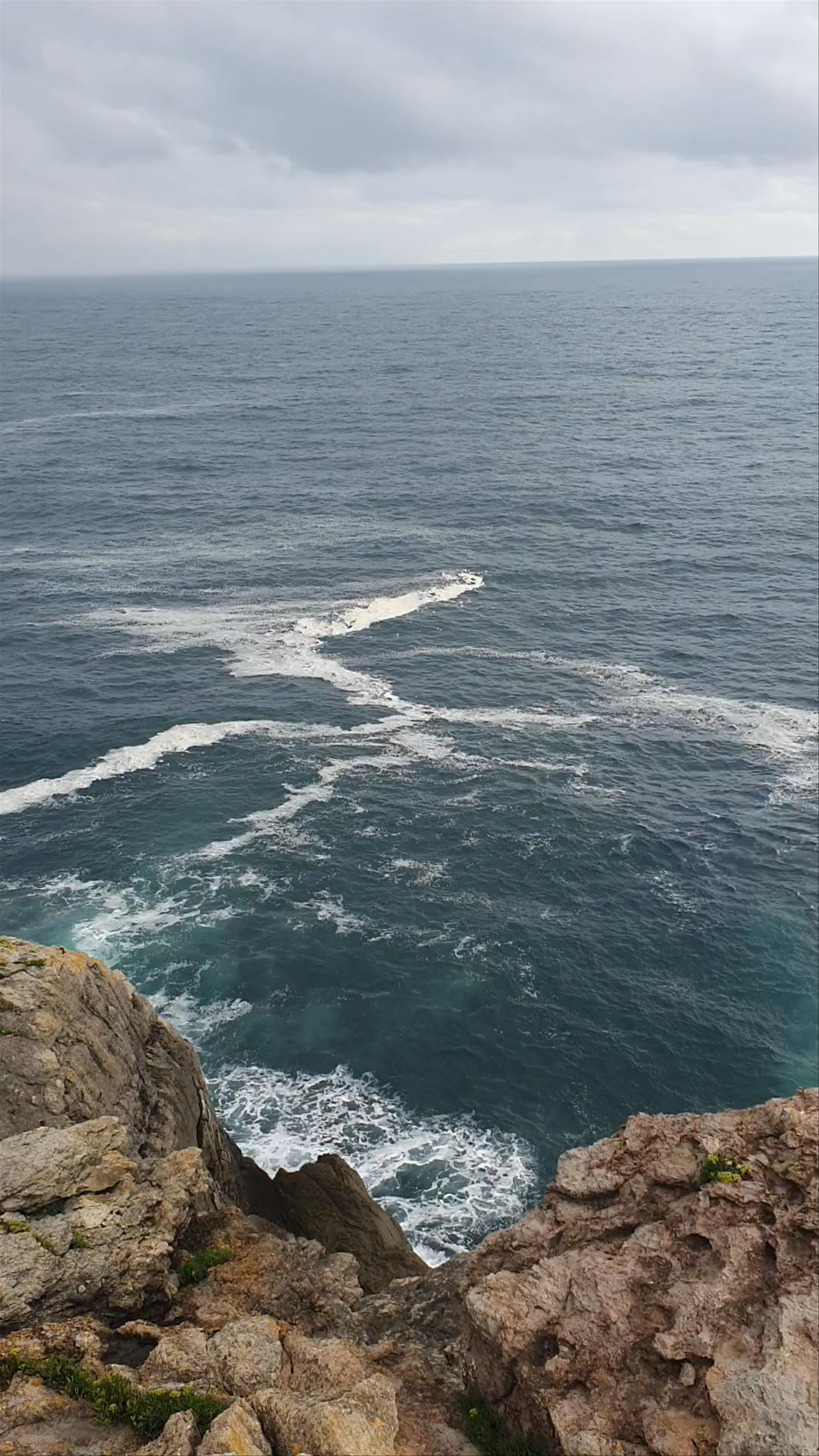 Observatorio de aves de La Arenilla