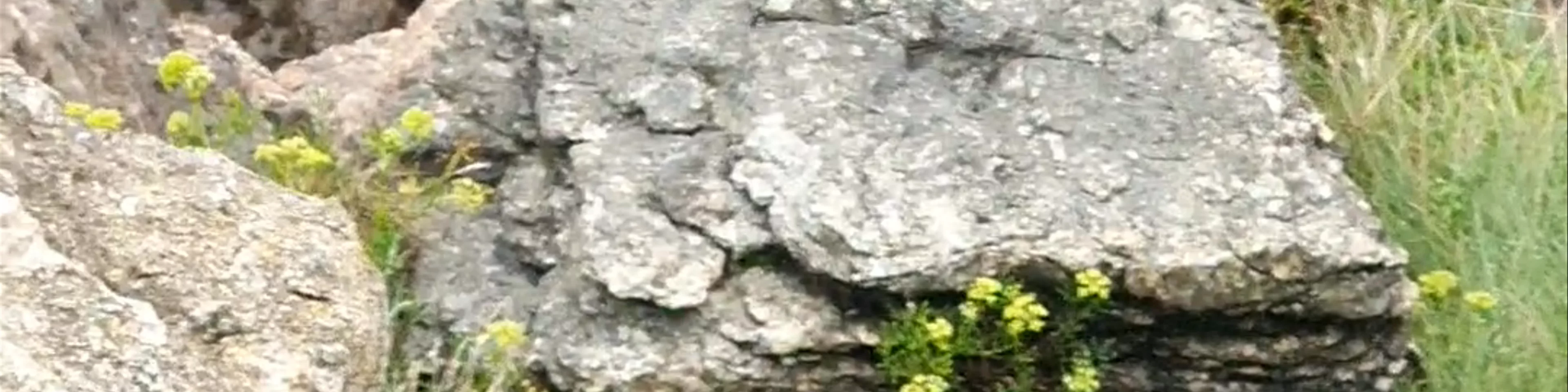 Observatorio de aves de La Arenilla