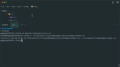 Run Grunt commands in Magento with Docker