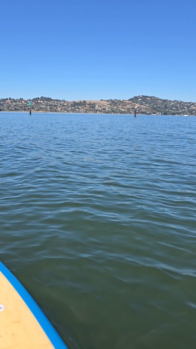 Schoonmaker Beach - Beaches Near Me - Sausalito, California