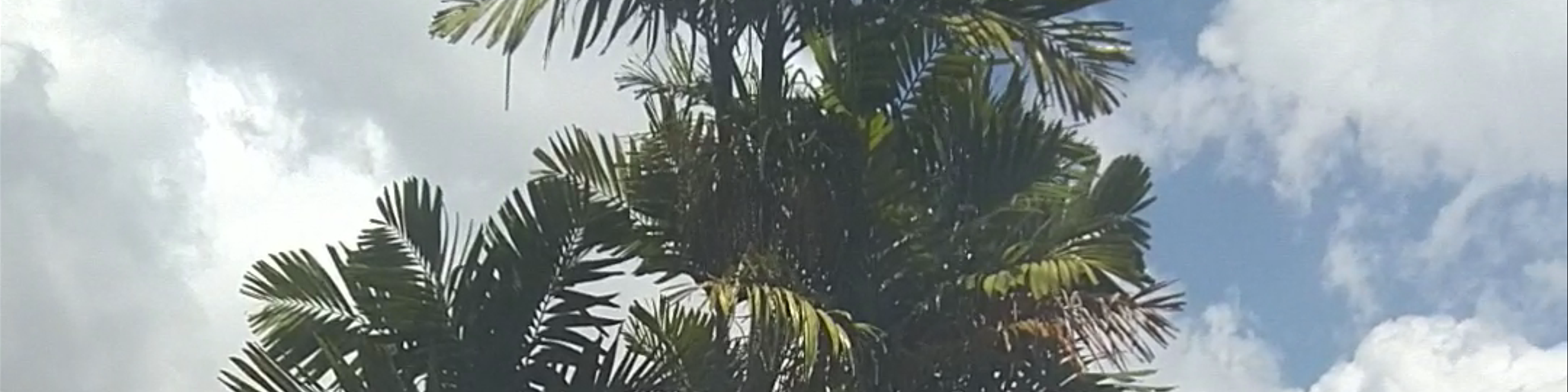 Panamá