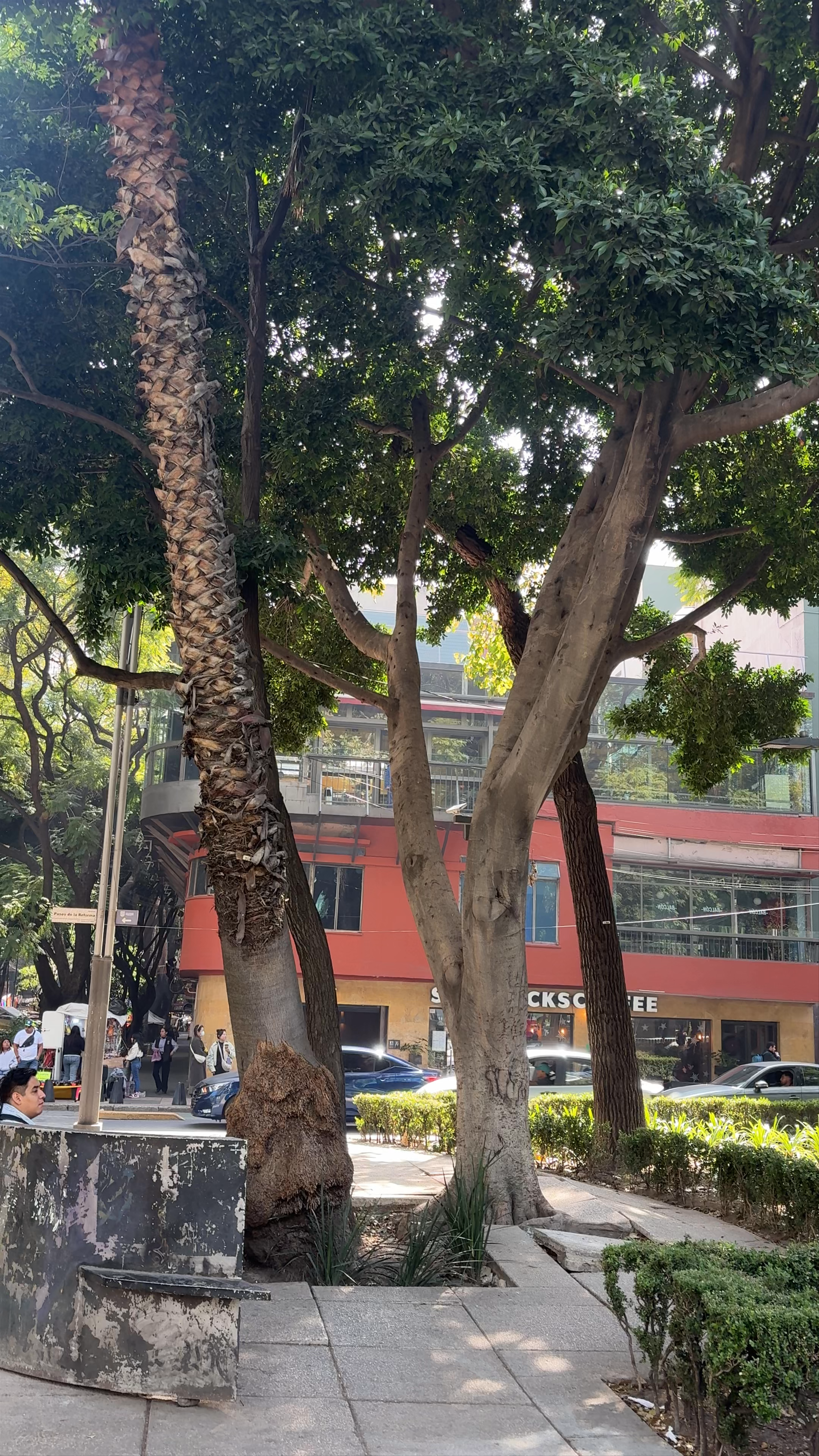 El Ángel de la Independencia