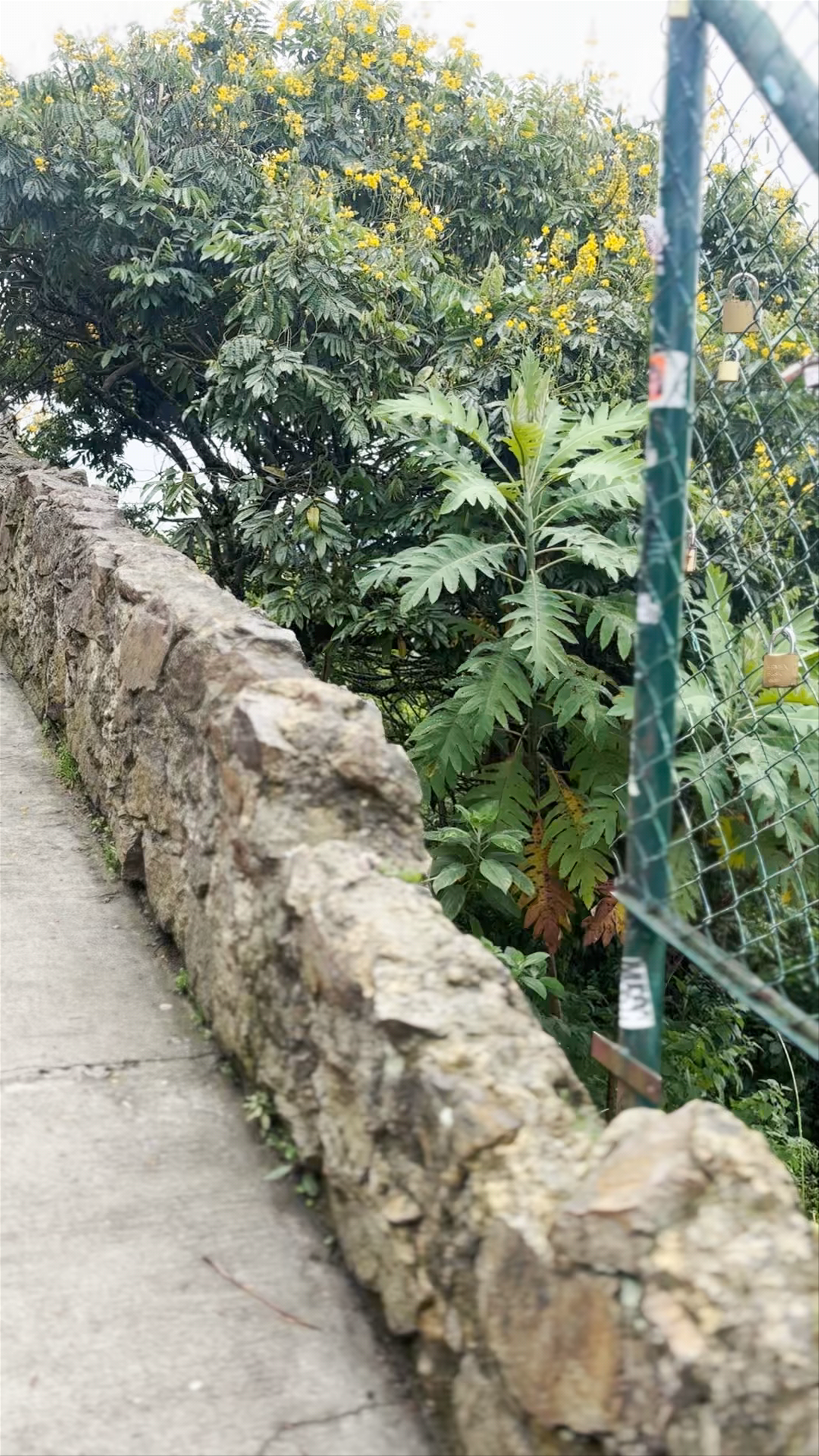 Mirador Cerro de Monserrate