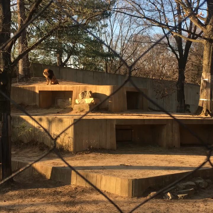 National Zoo Parking - Parking Near Me - Washington, DC, District of Columbia
