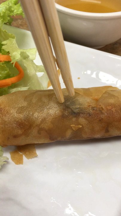 Pho Central - I've never had an egg roll where the oil was trapped inside.. Each bite was like an explosion of oil in my mouth. - Vietnamese Near Me - Deer Park, Texas