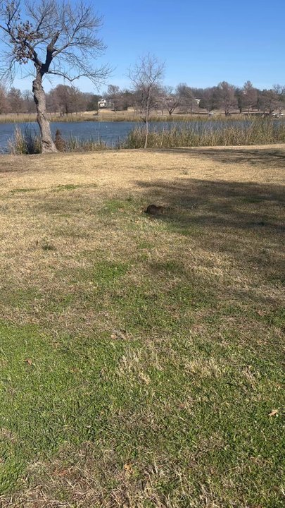White Rock Lake Trail - Parks Near Me - Dallas, Texas