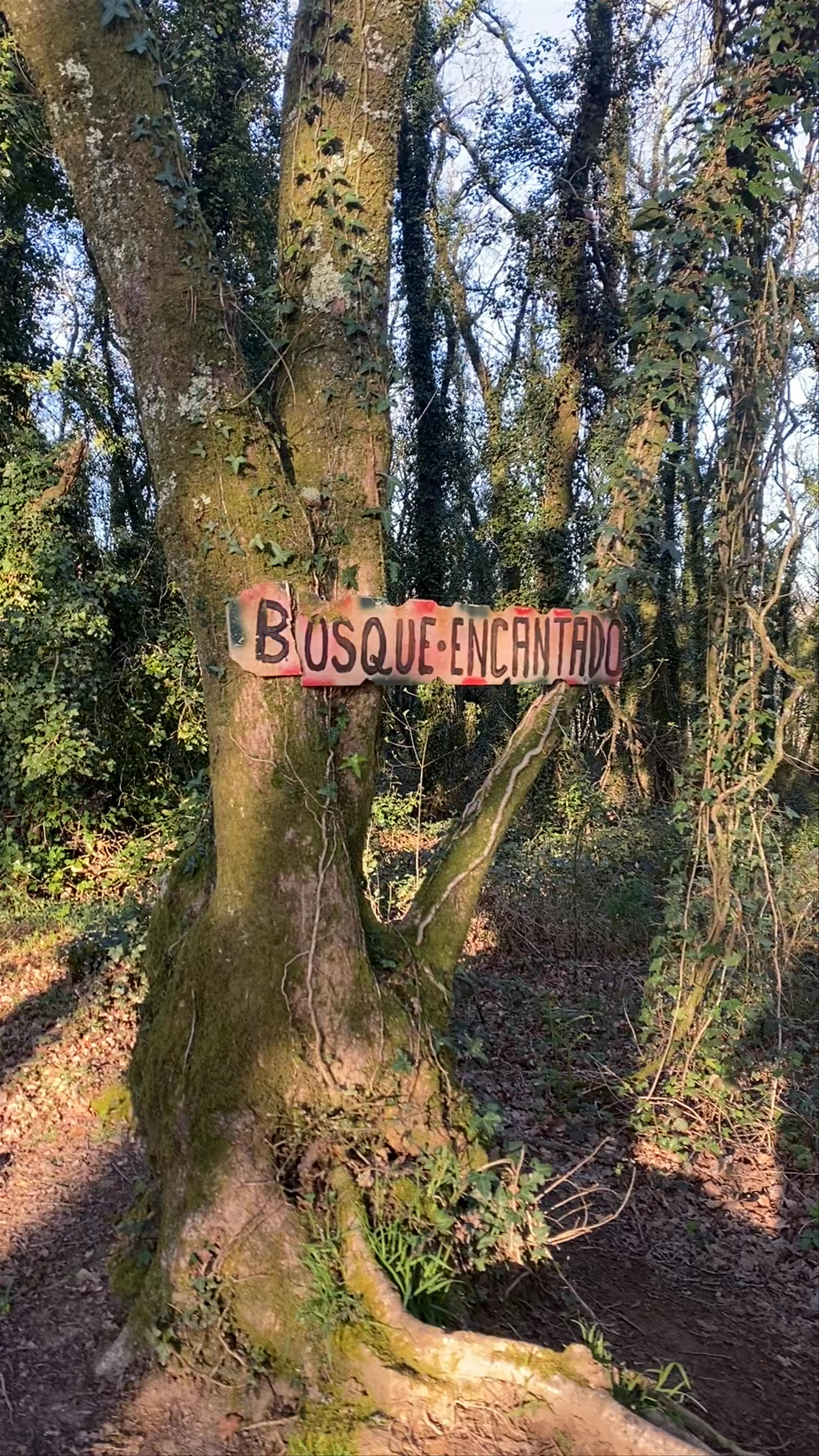 Bosque Encantado