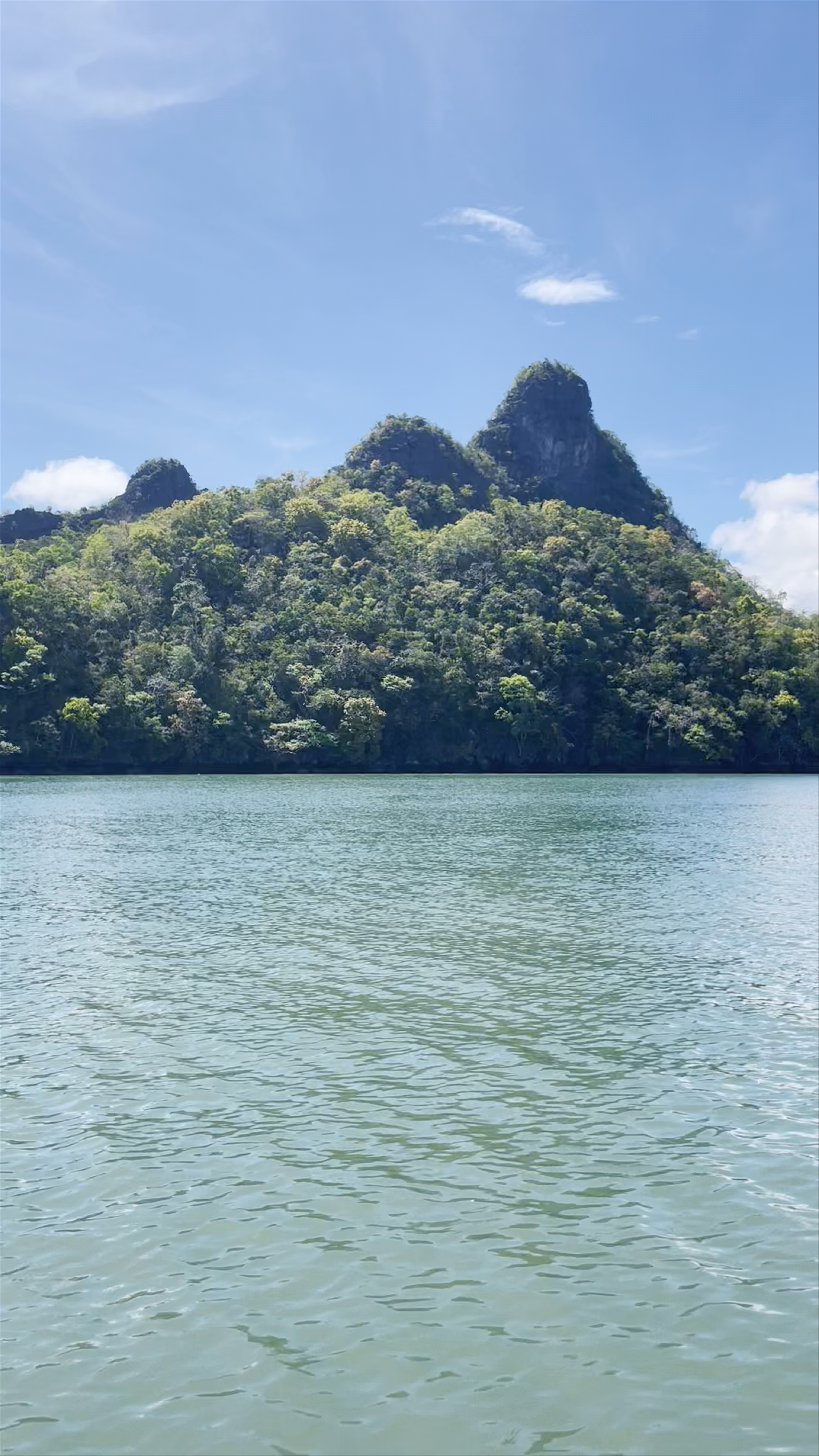 I Mangroove Langkawi