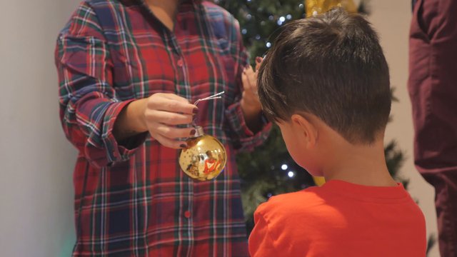 Mom gives sons Christmas decorations
