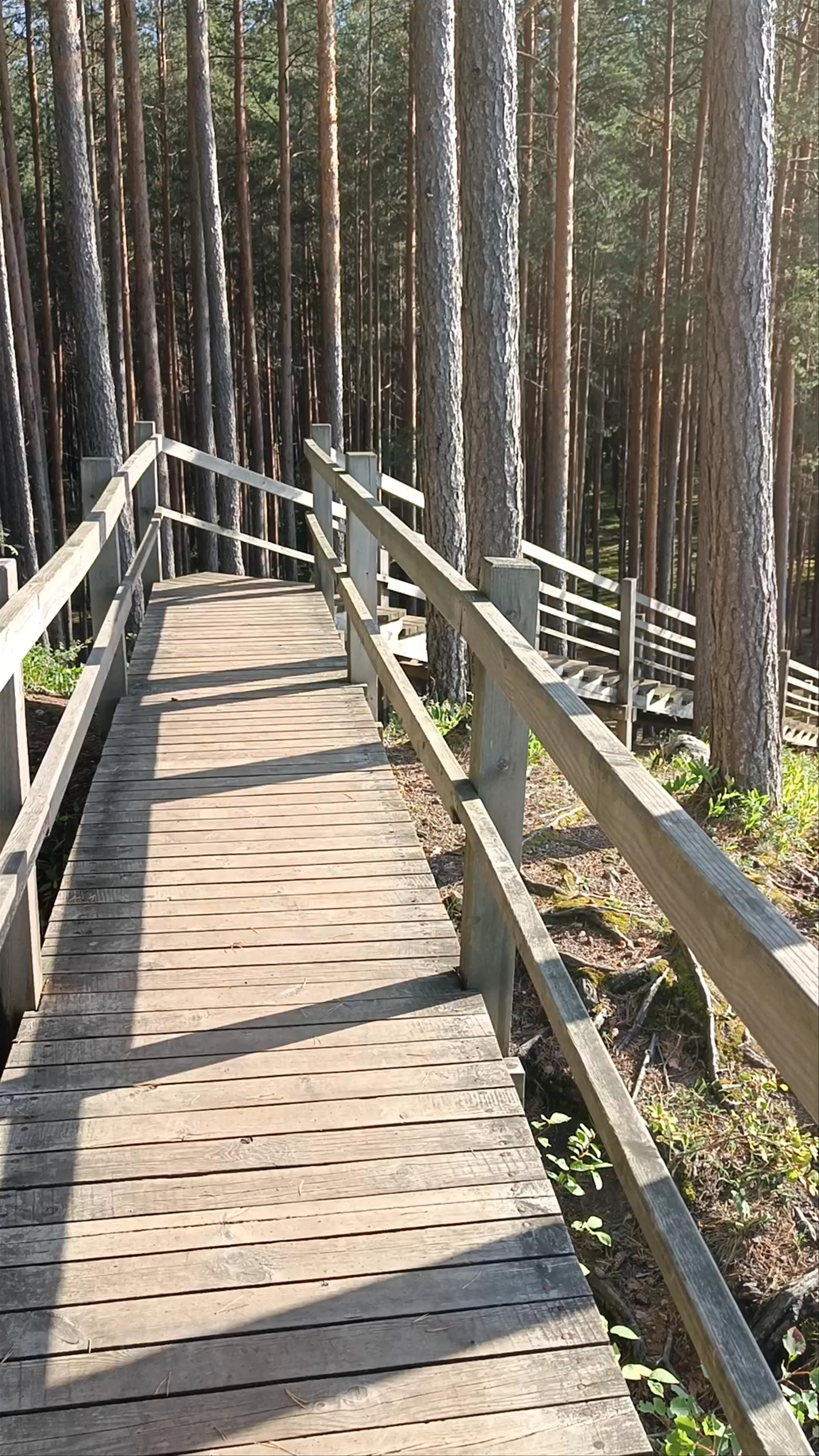 Dubkalnu karjers, Tīnūži Parish, Ogre Municipality, Latvia