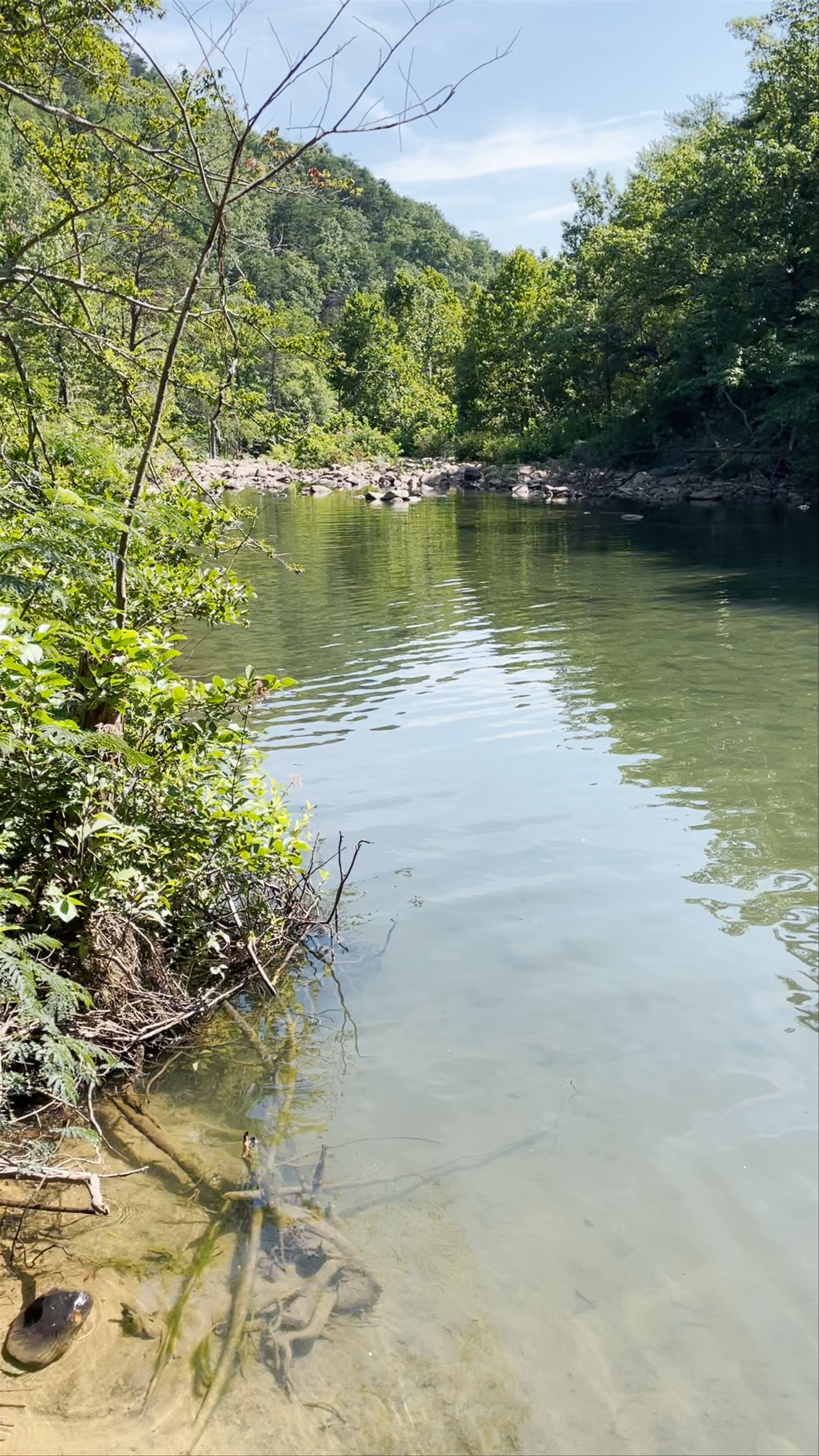 Tranquil Escape at Big Soddy Creek Gulf, Tennessee