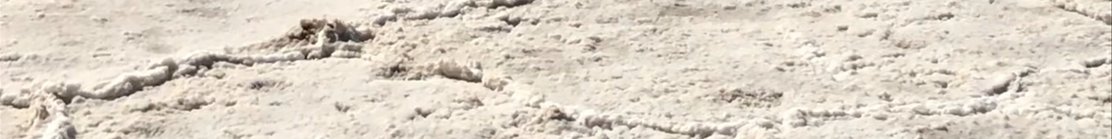 Tours & experiences in Death Valley