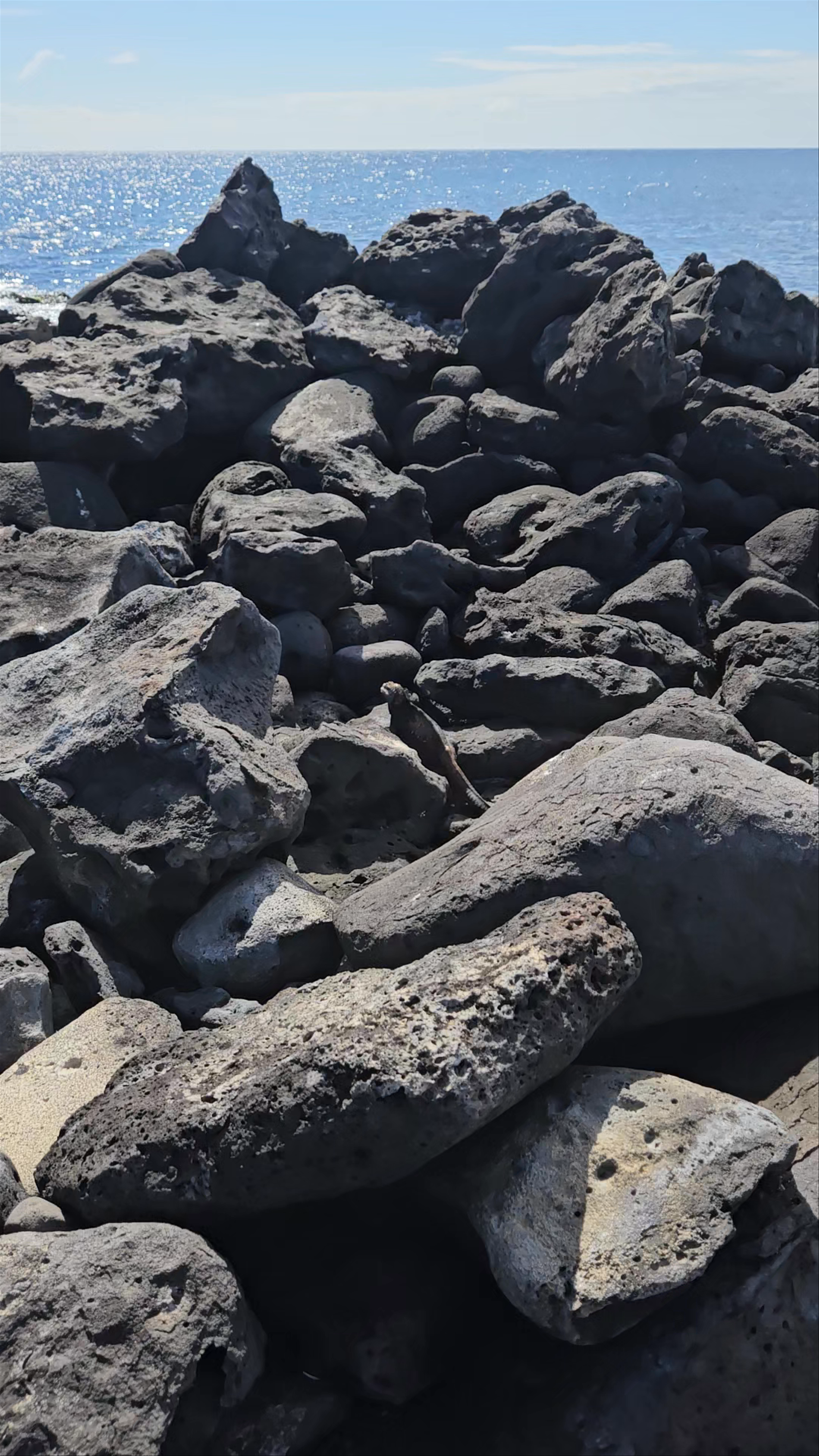 La Lobería | Ingreso