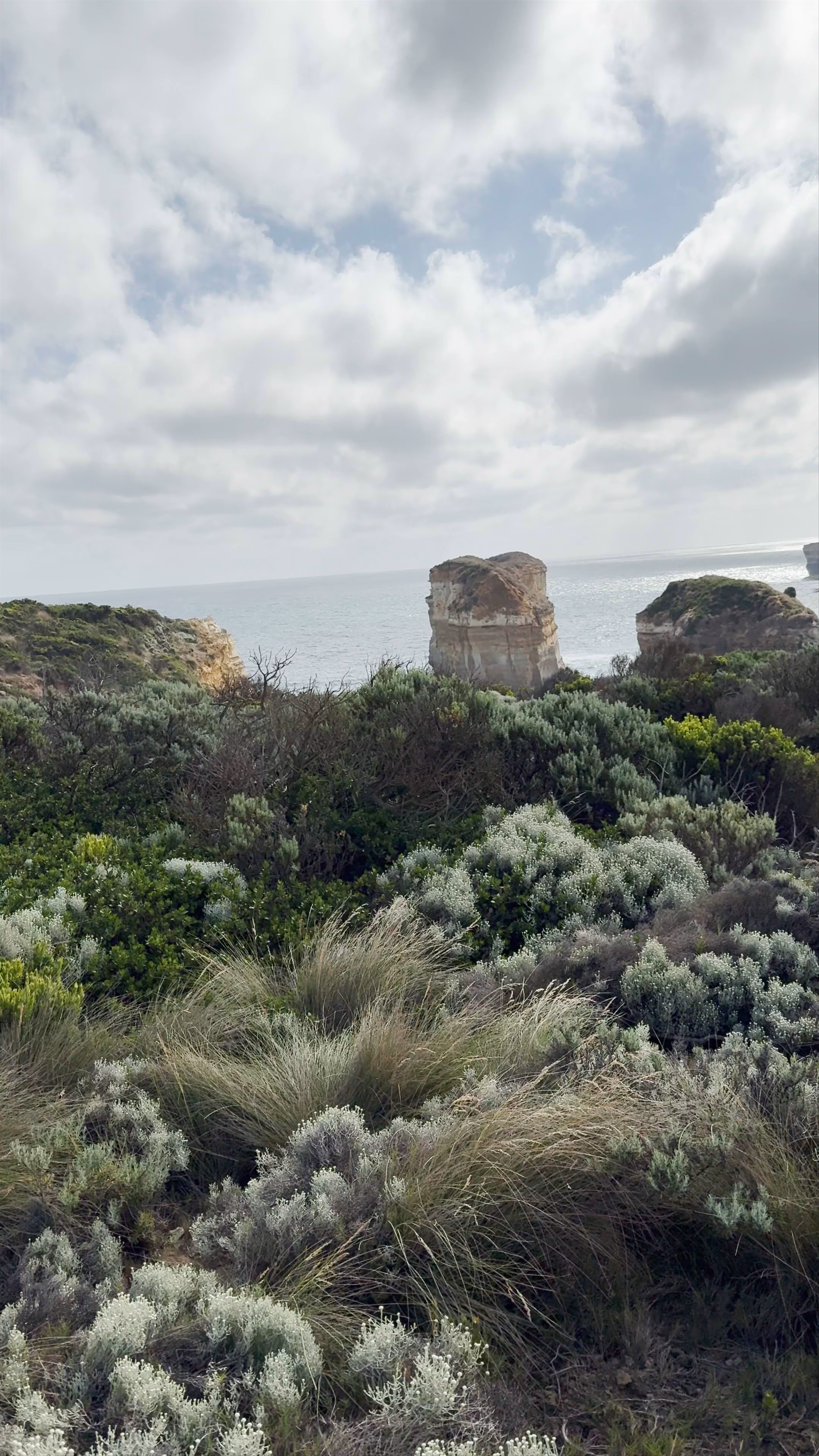Tom and Eva Lookout: Coastal Wilderness Views at Port Campbell