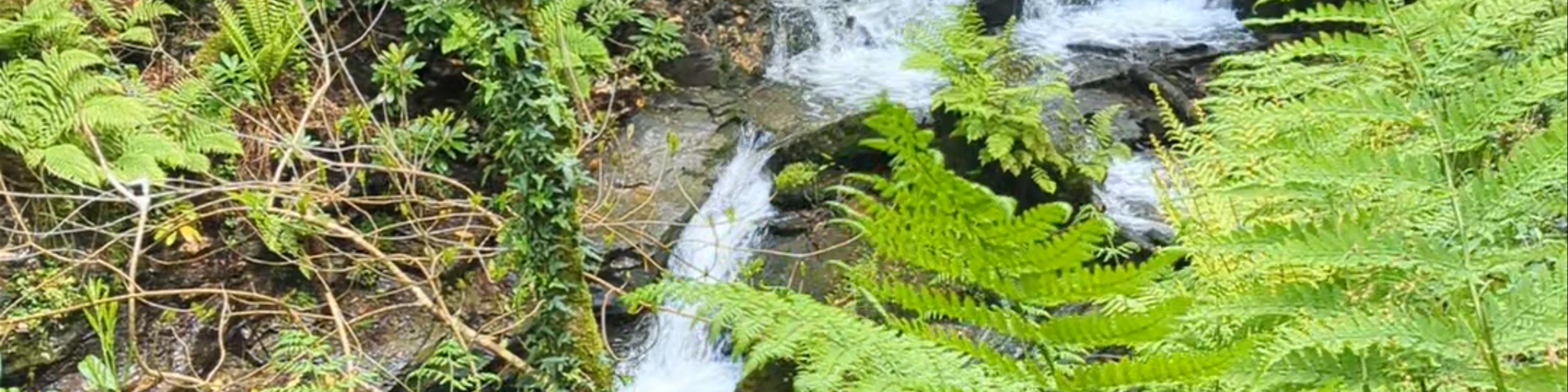 St Nectan's Waterfall