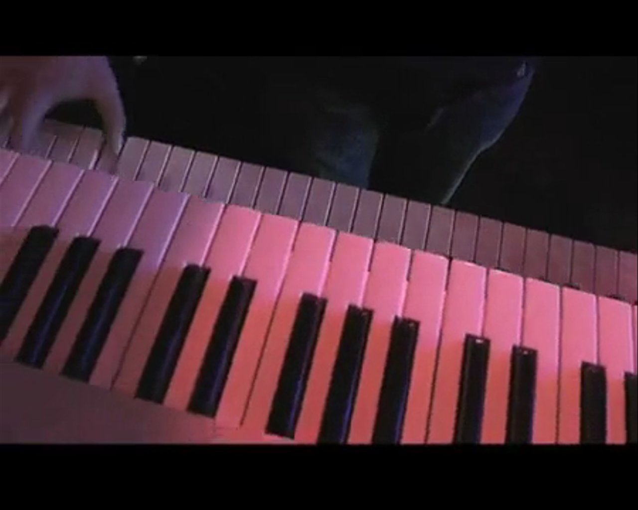 Stardust - Sittin' On The Dock of the Bay - video