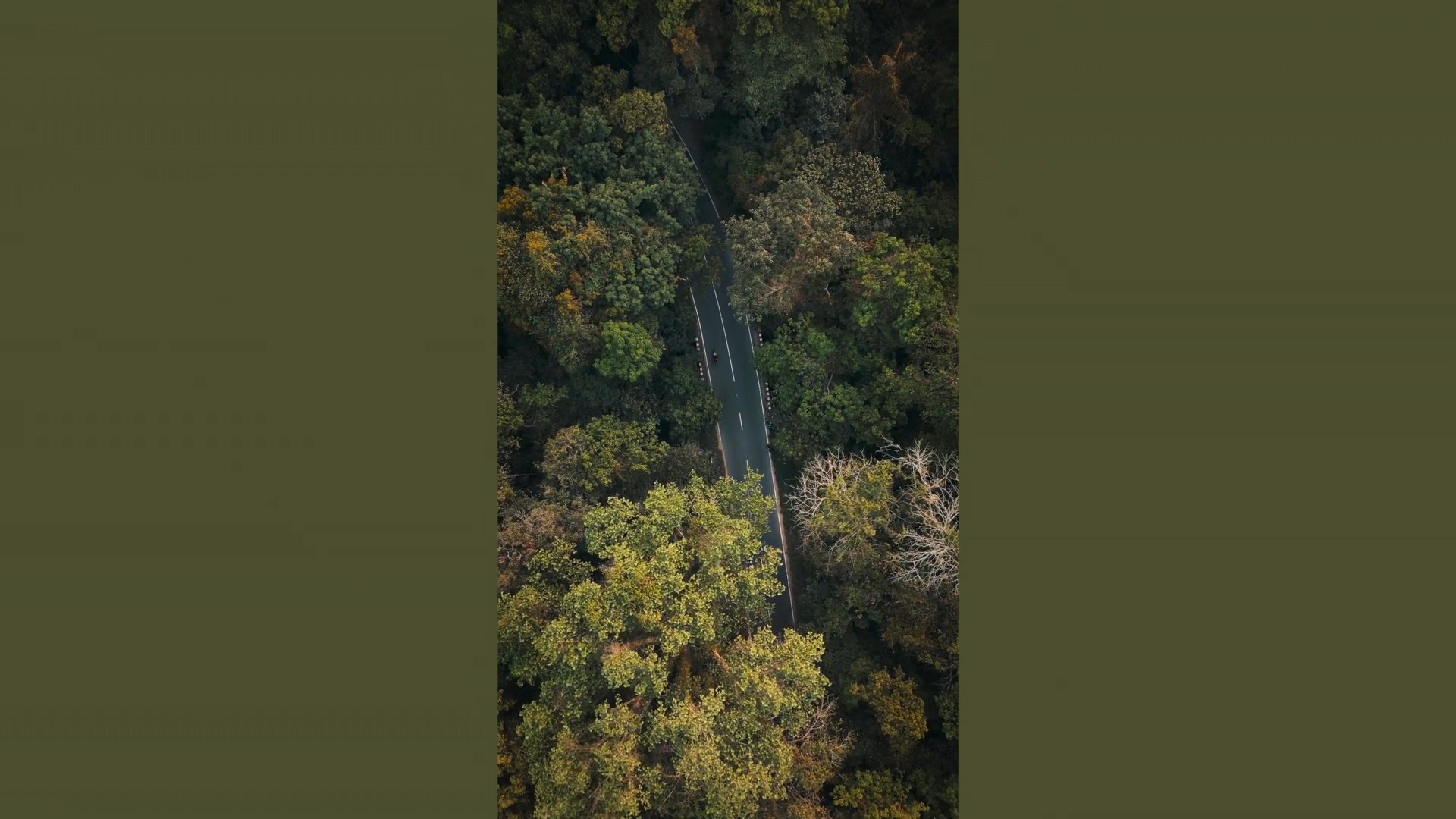 Portfolio clip by Cody C., Memphis videographer