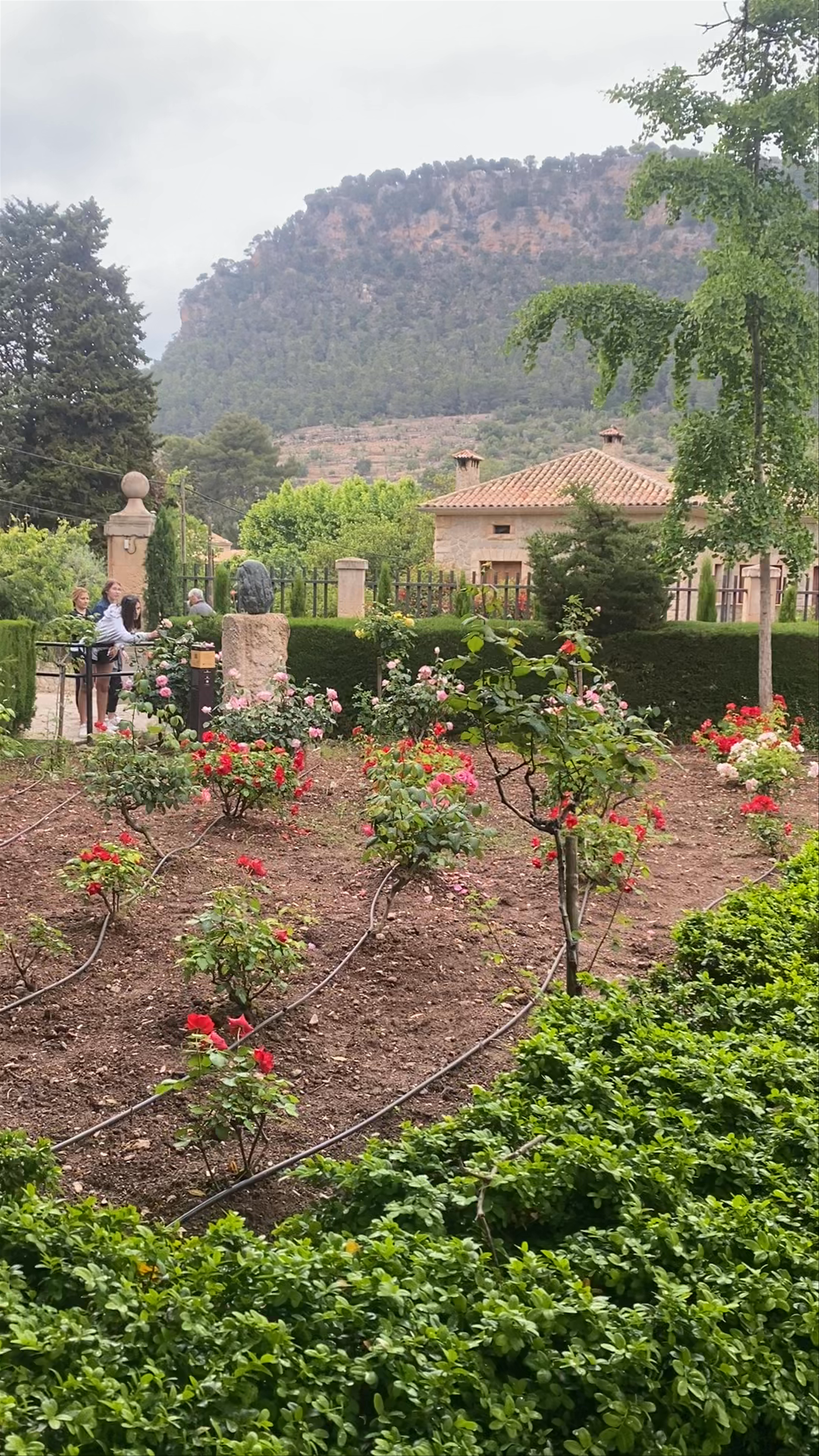 Jardins Rei Joan Carles