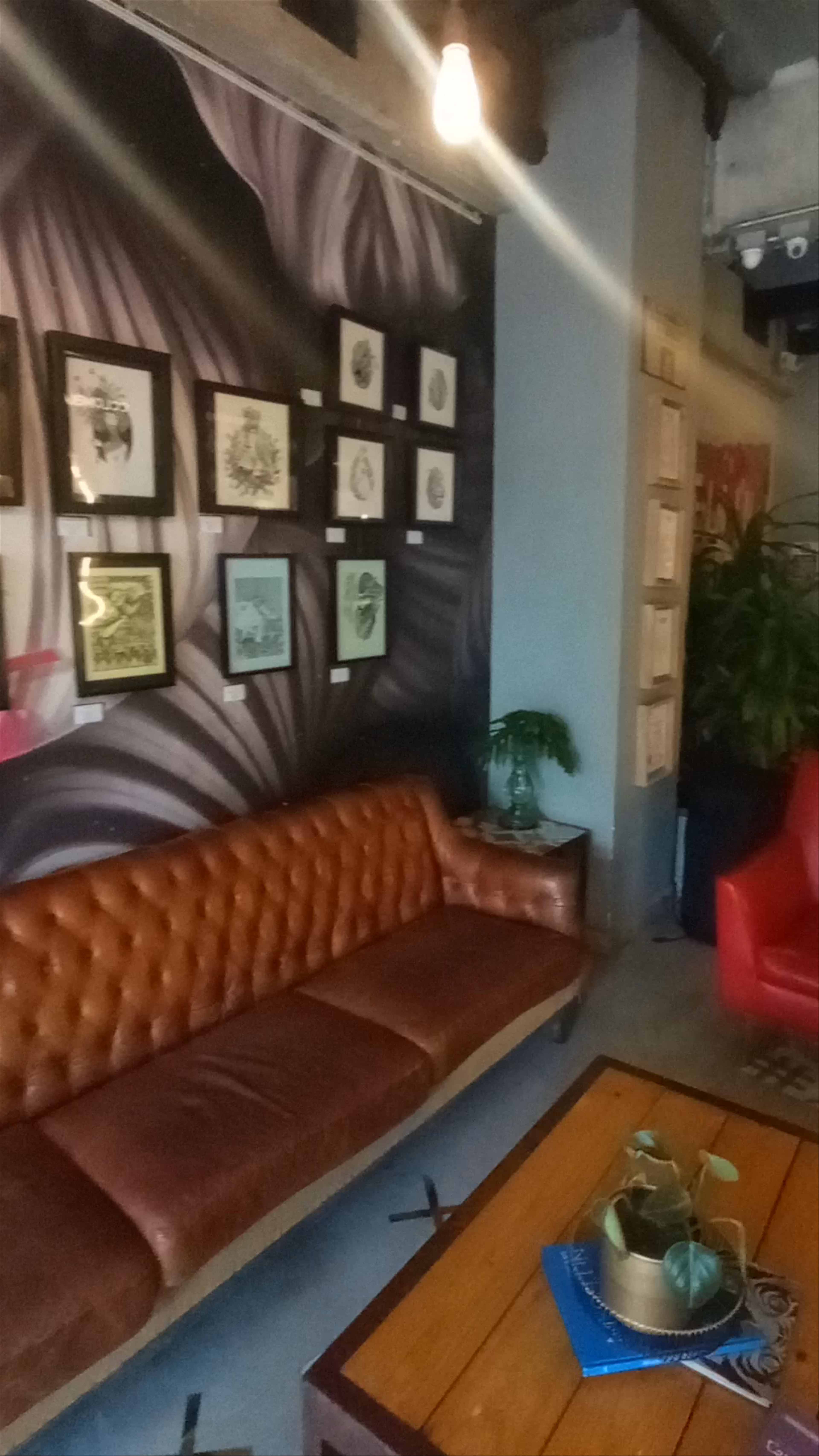 YOLO Coffee Shop Medellín – Artistic Vibes and Cozy Corners