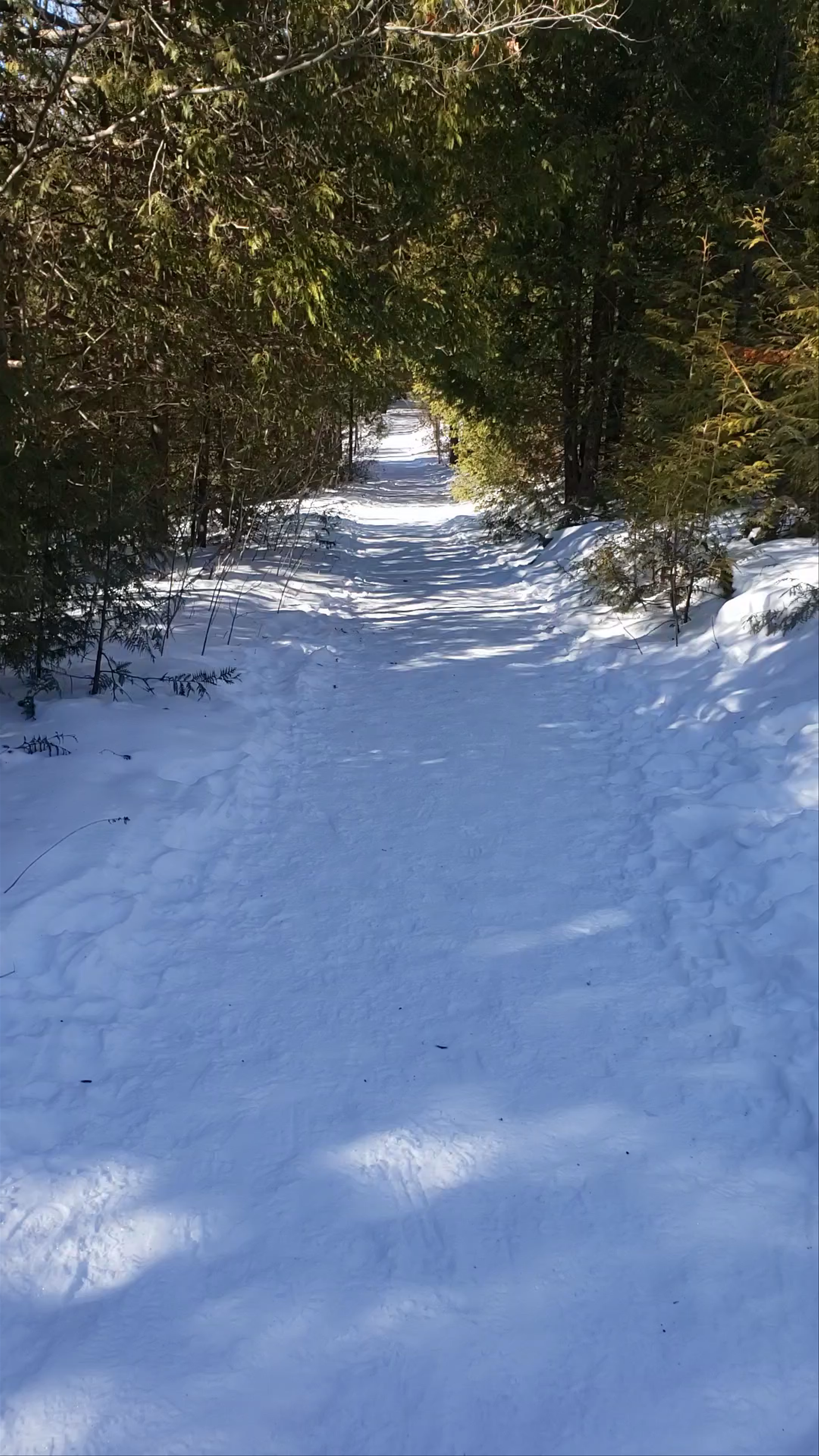 Forks of the Credit Provincial Park