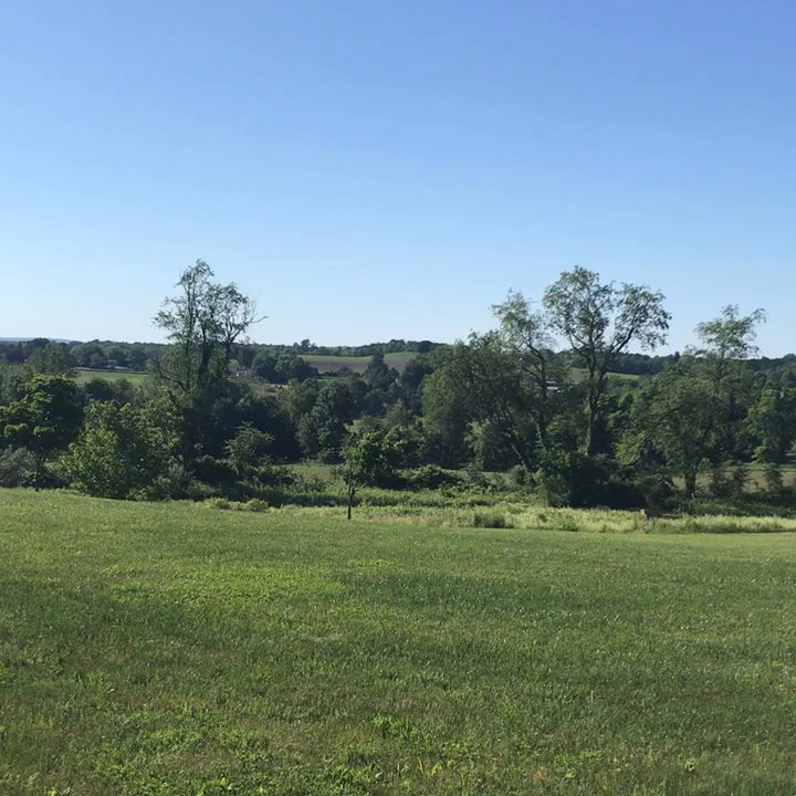 Won Dharma Center - Peaceful morning with birds - Buddhist Temples Near Me - Claverack, New York