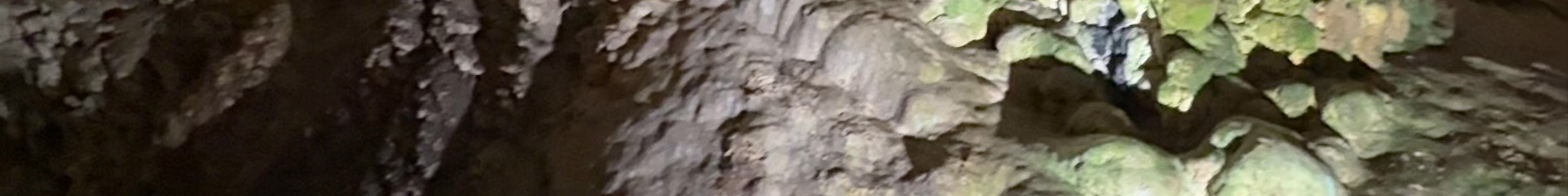 Tours & experiences in Saraj