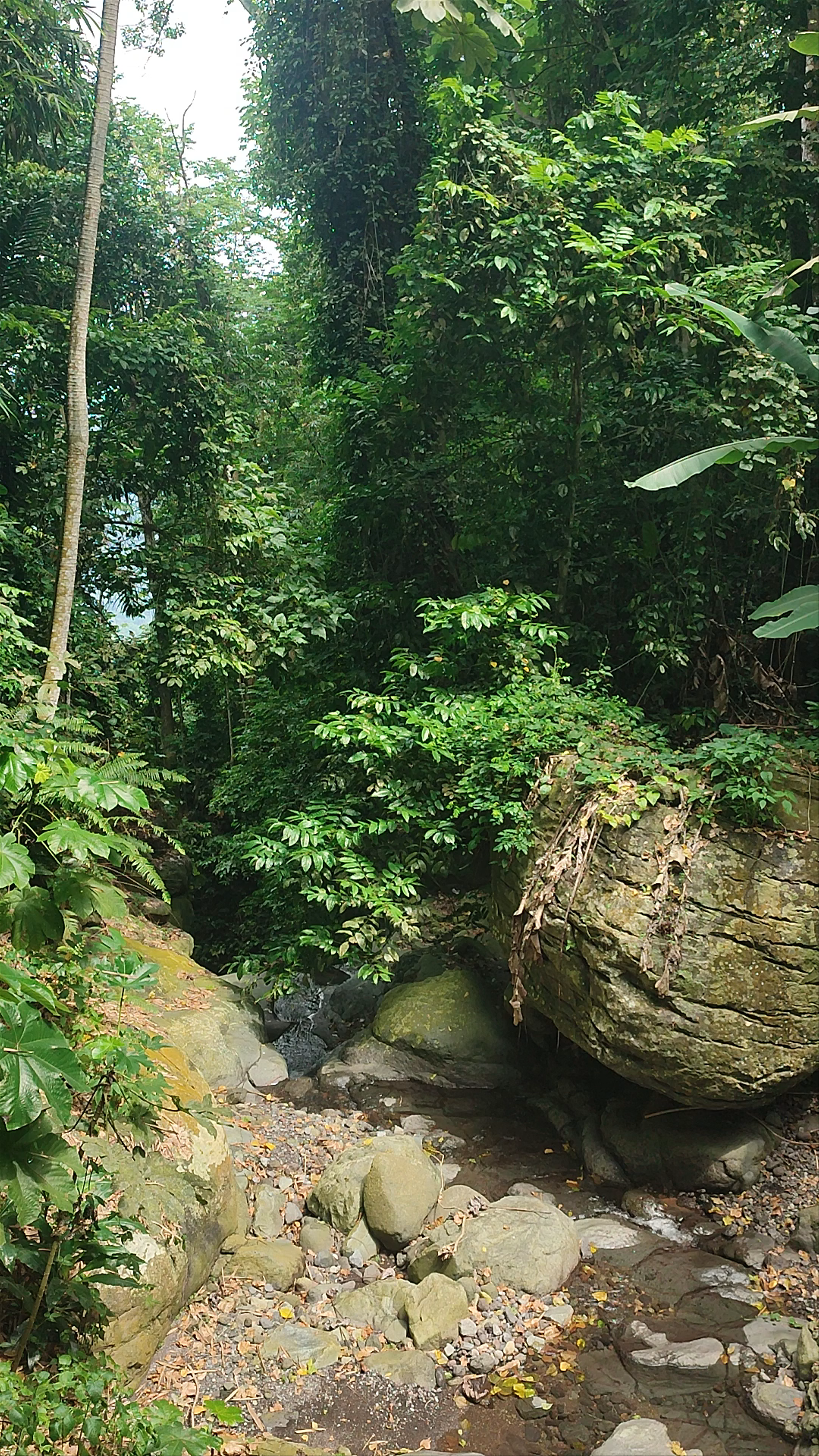 Cascata de São Nicolau
