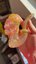 Small image 9